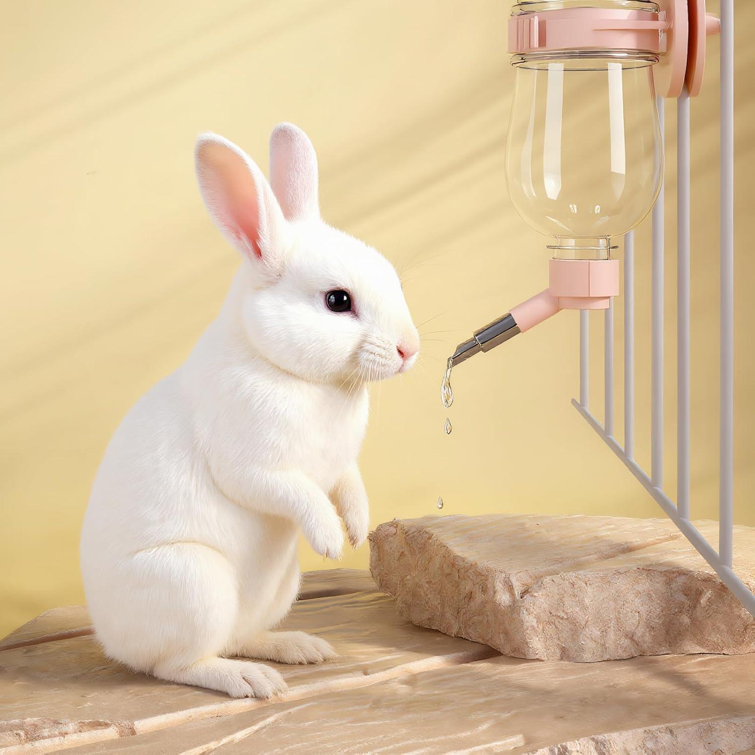 Botella de Agua Sin Goteo 500ml Fanlahmtasy para Mascotas