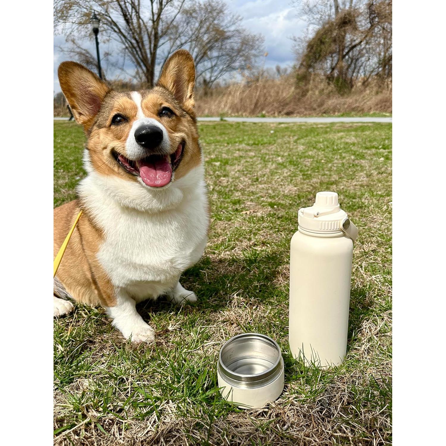 Botella de Agua Aislada Genérico 0.95L con Cuenco para Mascotas
