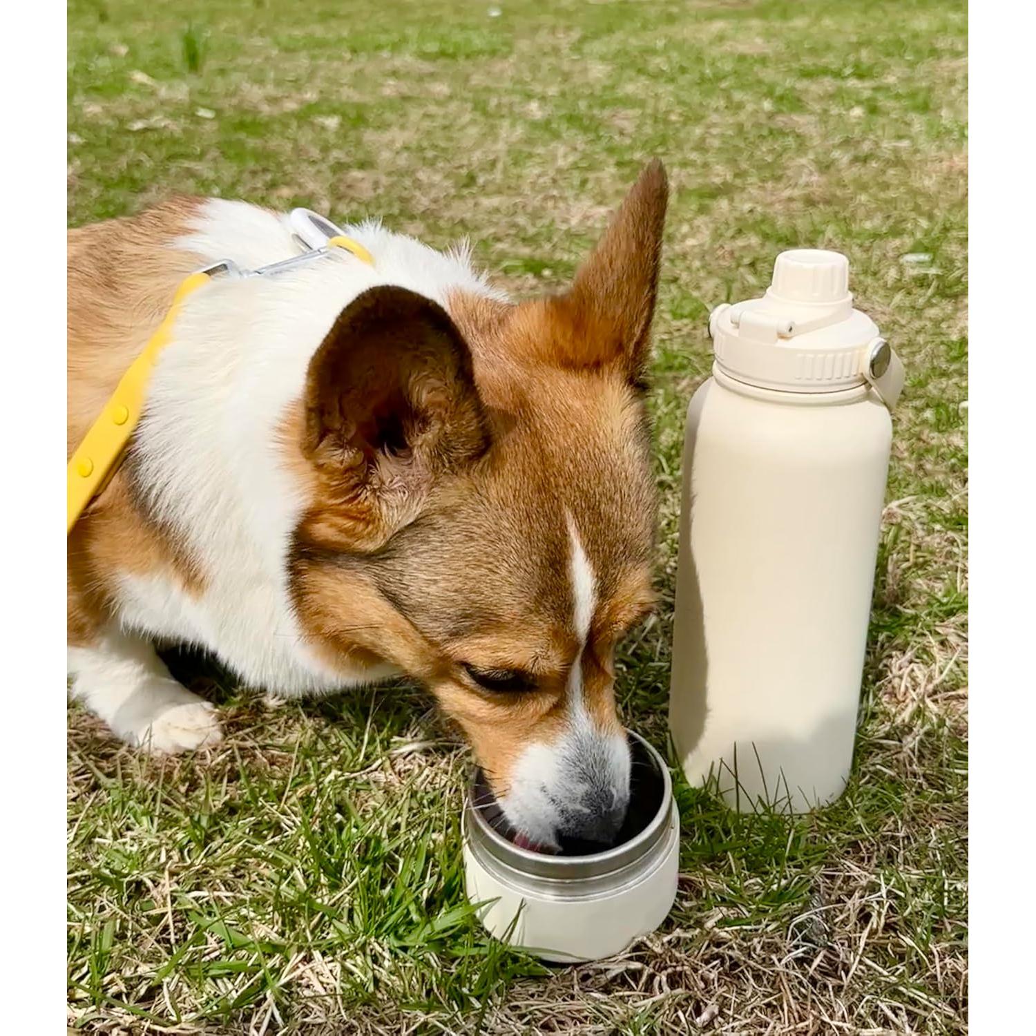 Botella de Agua Aislada Genérico 0.95L con Cuenco para Mascotas