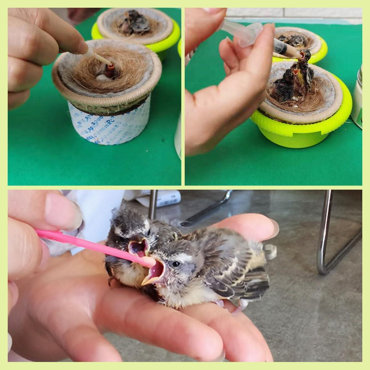 Kit de Alimentación para Pájaros Bebés FOIBURELY 9 Piezas