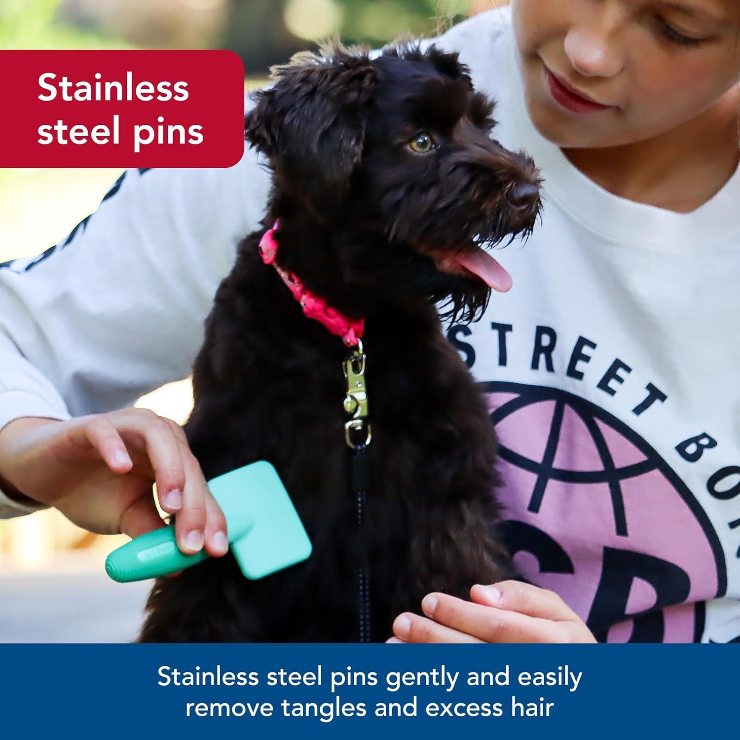 Cepillo Slicker Coastal Pet para Perros Pequeños - 8.26x18.42 cm