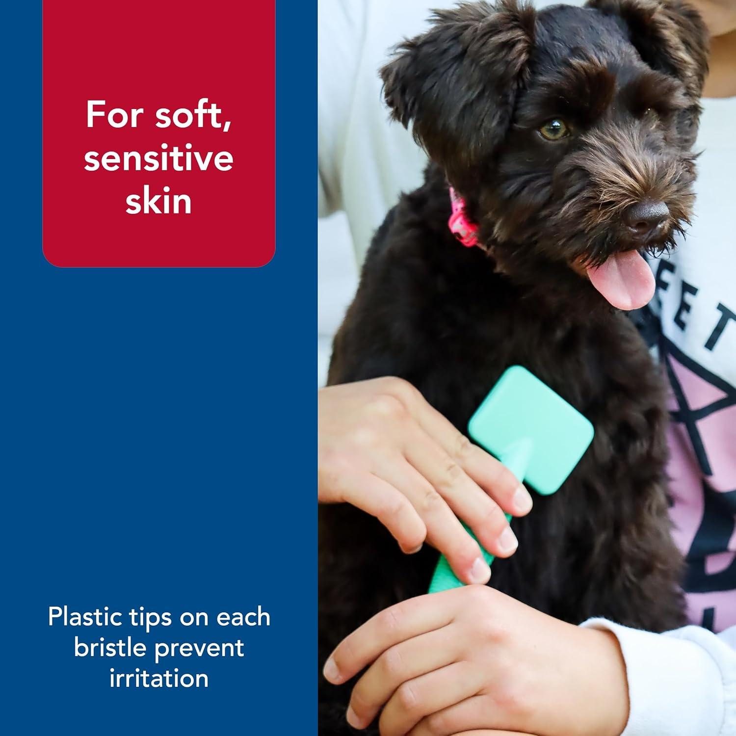 Cepillo Slicker Coastal Pet para Perros Pequeños - 8.26x18.42 cm