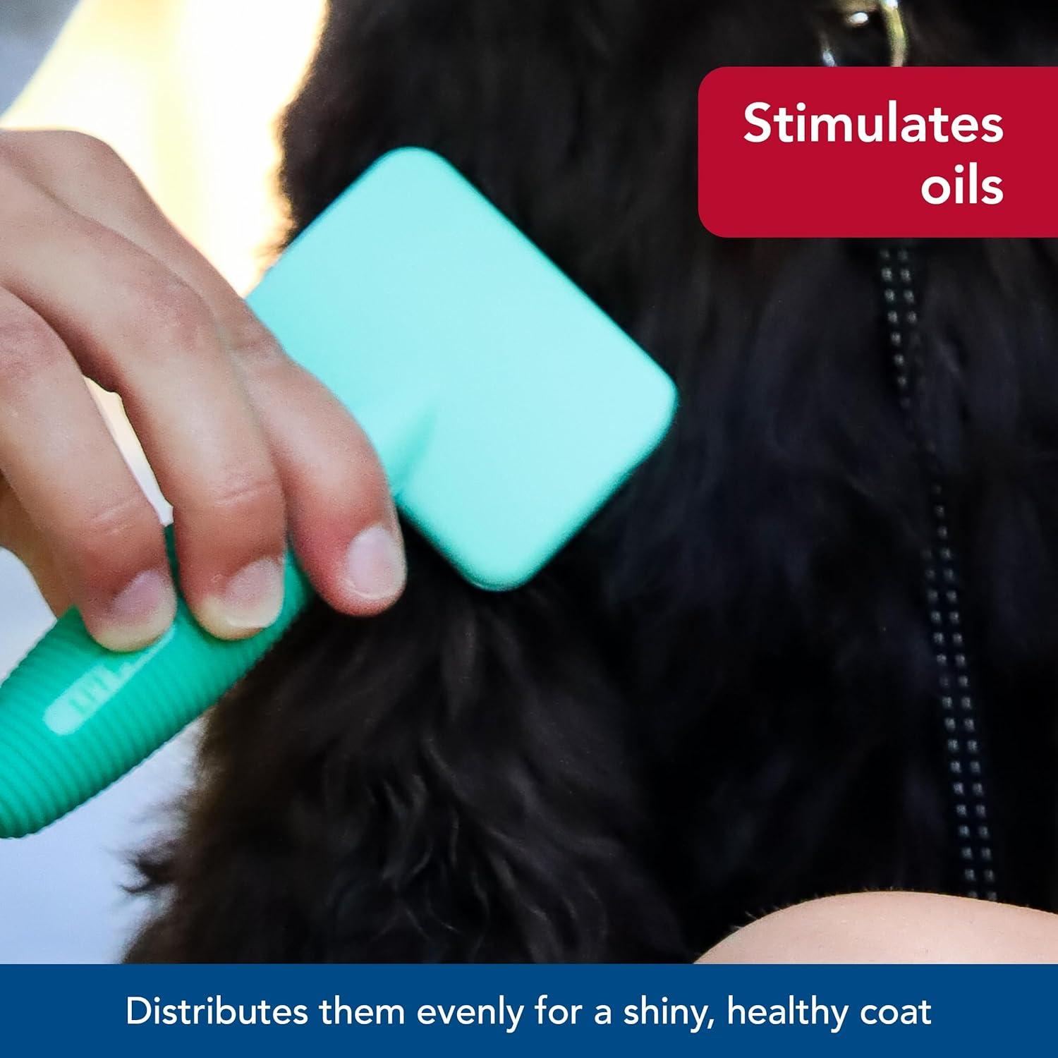 Cepillo Slicker Coastal Pet para Perros Pequeños - 8.26x18.42 cm