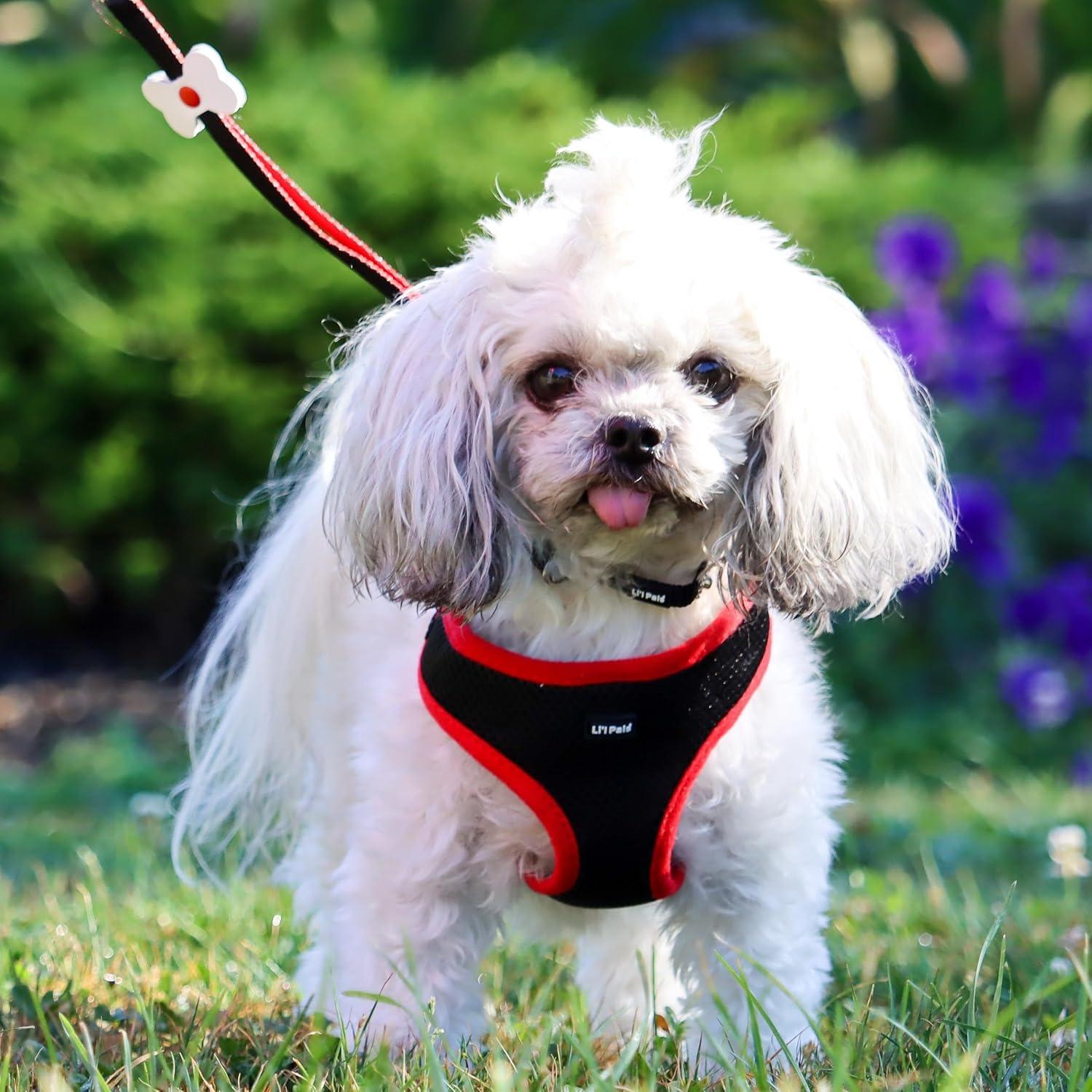 Cepillo Slicker Coastal Pet para Perros Pequeños - 8.26x18.42 cm