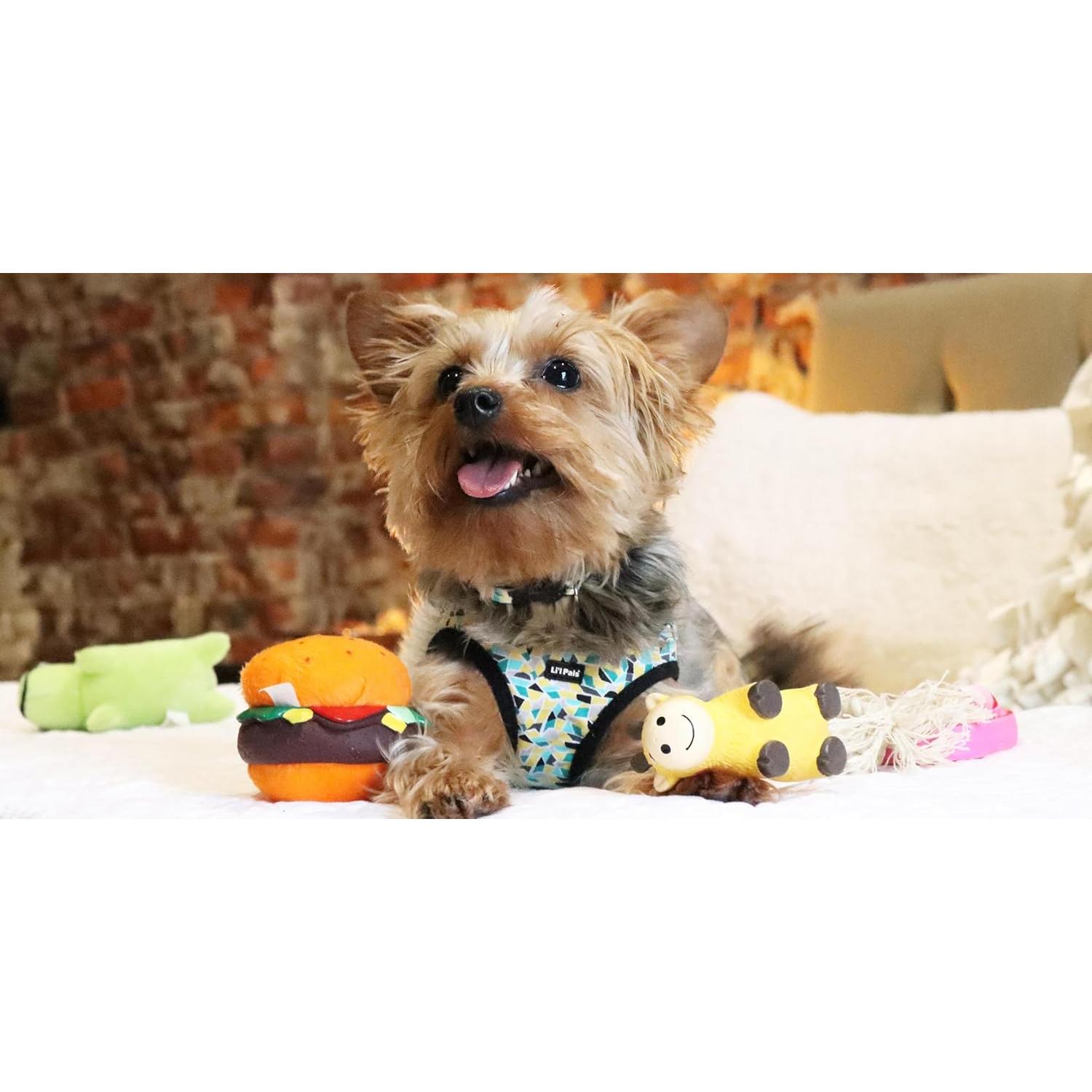 Cepillo Slicker Coastal Pet para Perros Pequeños - 8.26x18.42 cm