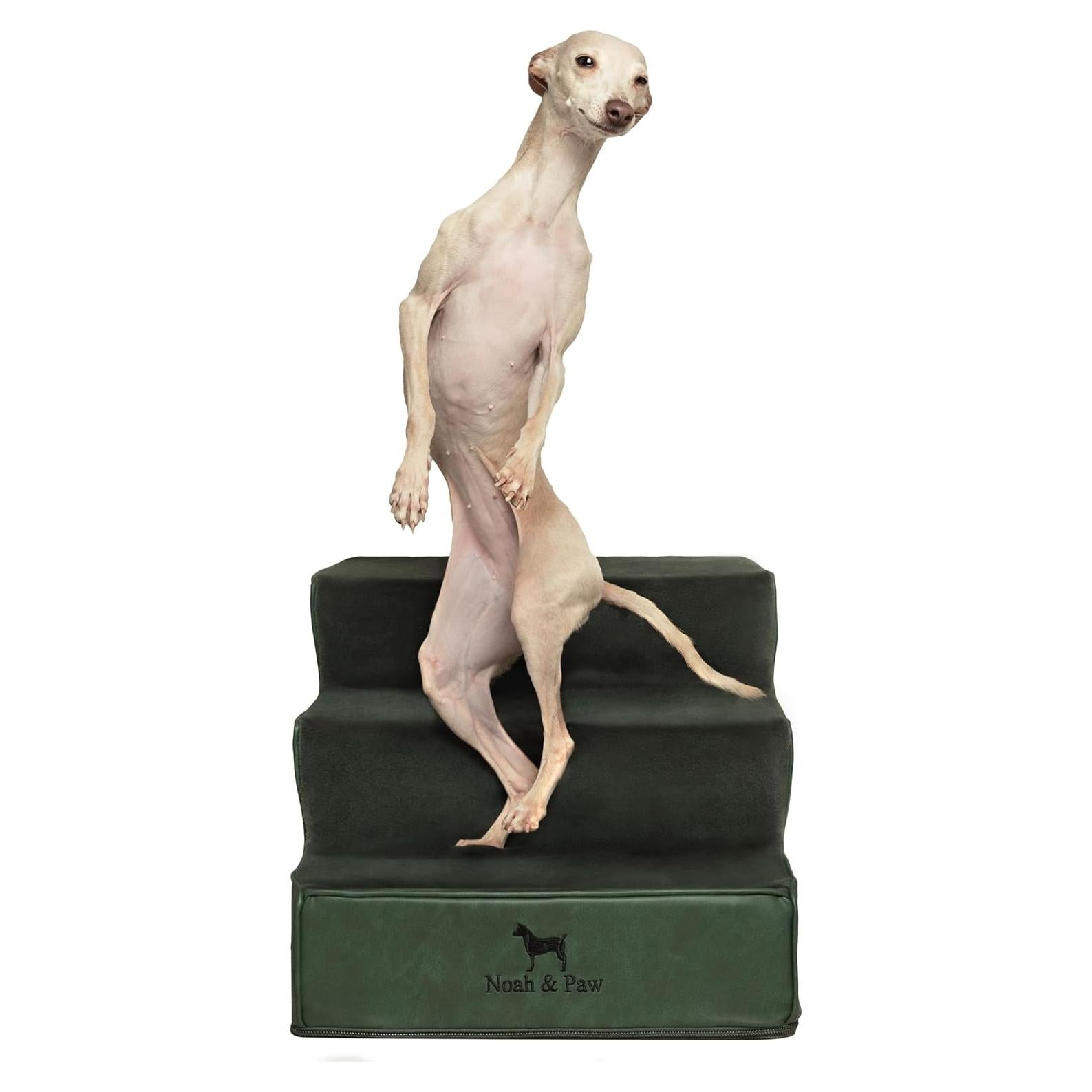 Escaleras para Perros Noah & Paw 3 Escalones Verde Oscuro