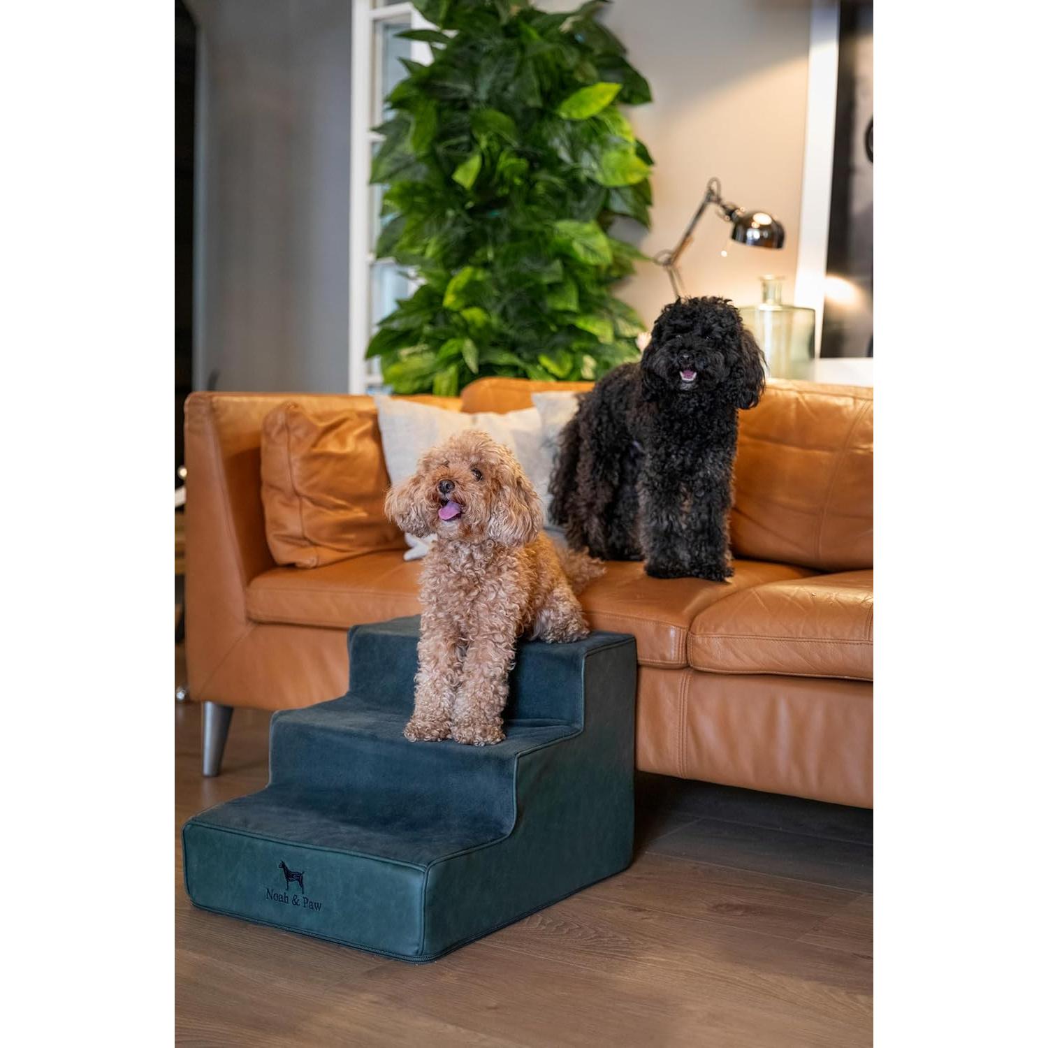 Escaleras para Perros Noah & Paw 3 Escalones Verde Oscuro