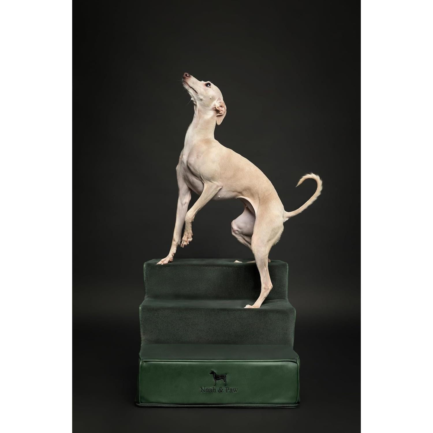 Escaleras para Perros Noah & Paw 3 Escalones Verde Oscuro