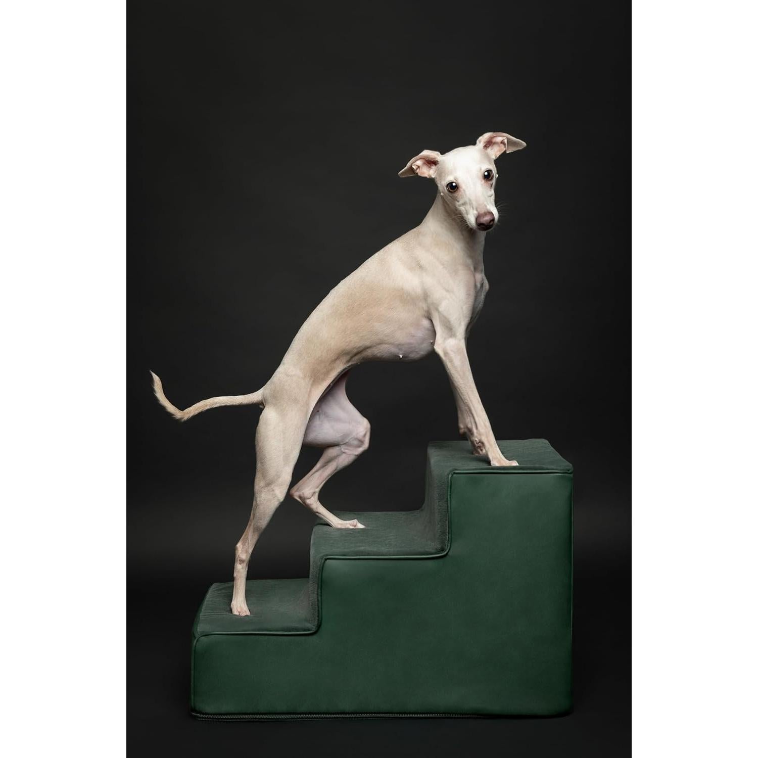 Escaleras para Perros Noah & Paw 3 Escalones Verde Oscuro