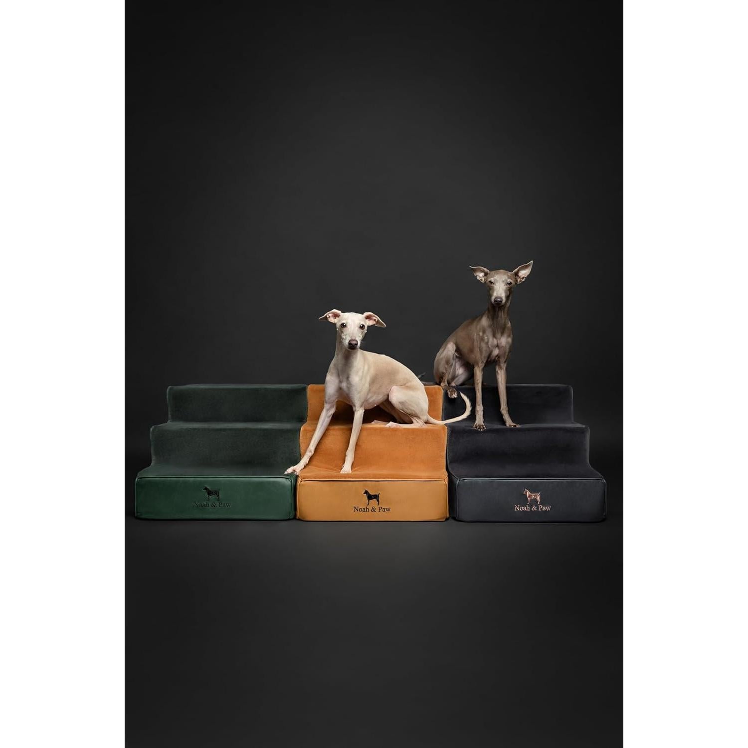 Escaleras para Perros Noah & Paw 3 Escalones Verde Oscuro