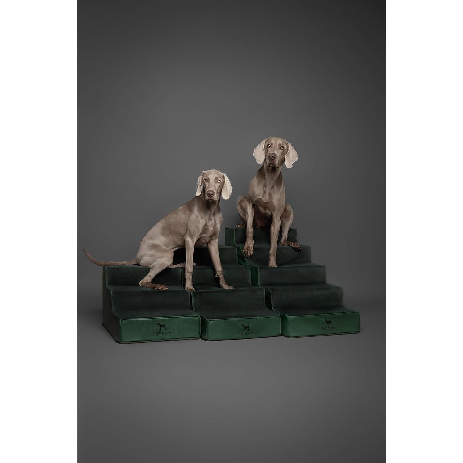 Escaleras para Perros Noah & Paw 3 Escalones Verde Oscuro