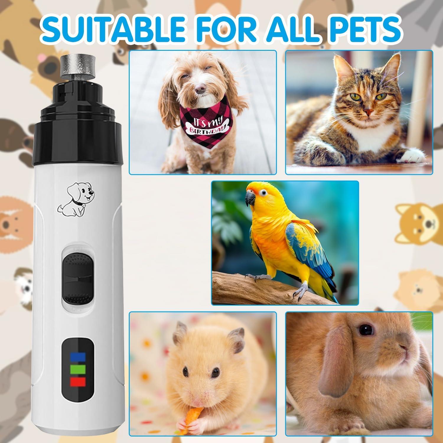 Molinillo de Uñas COLOTTE Silent Groom Pro Recargable