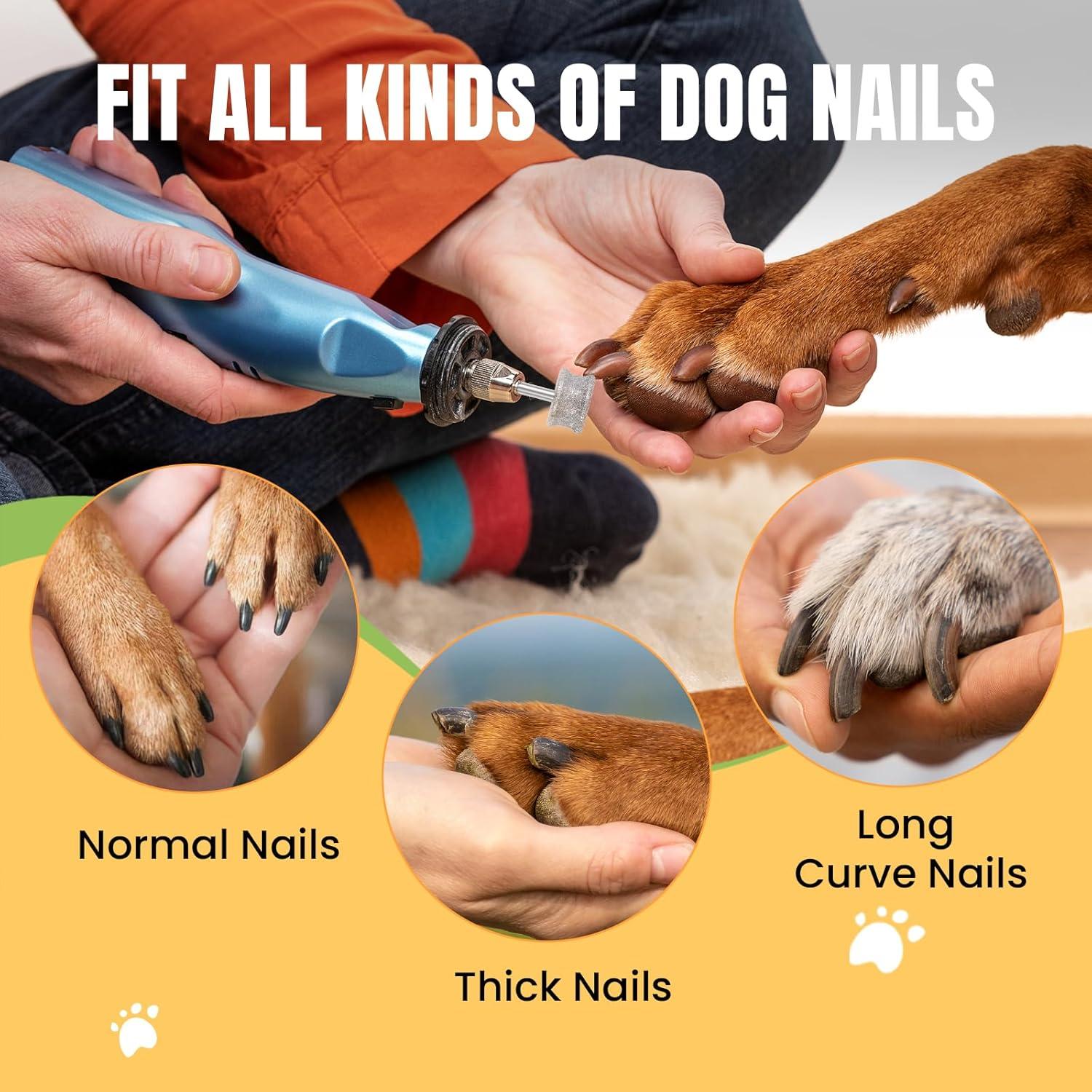 Mina de amoladora de uñas CAELUM 80 grano para Dremel