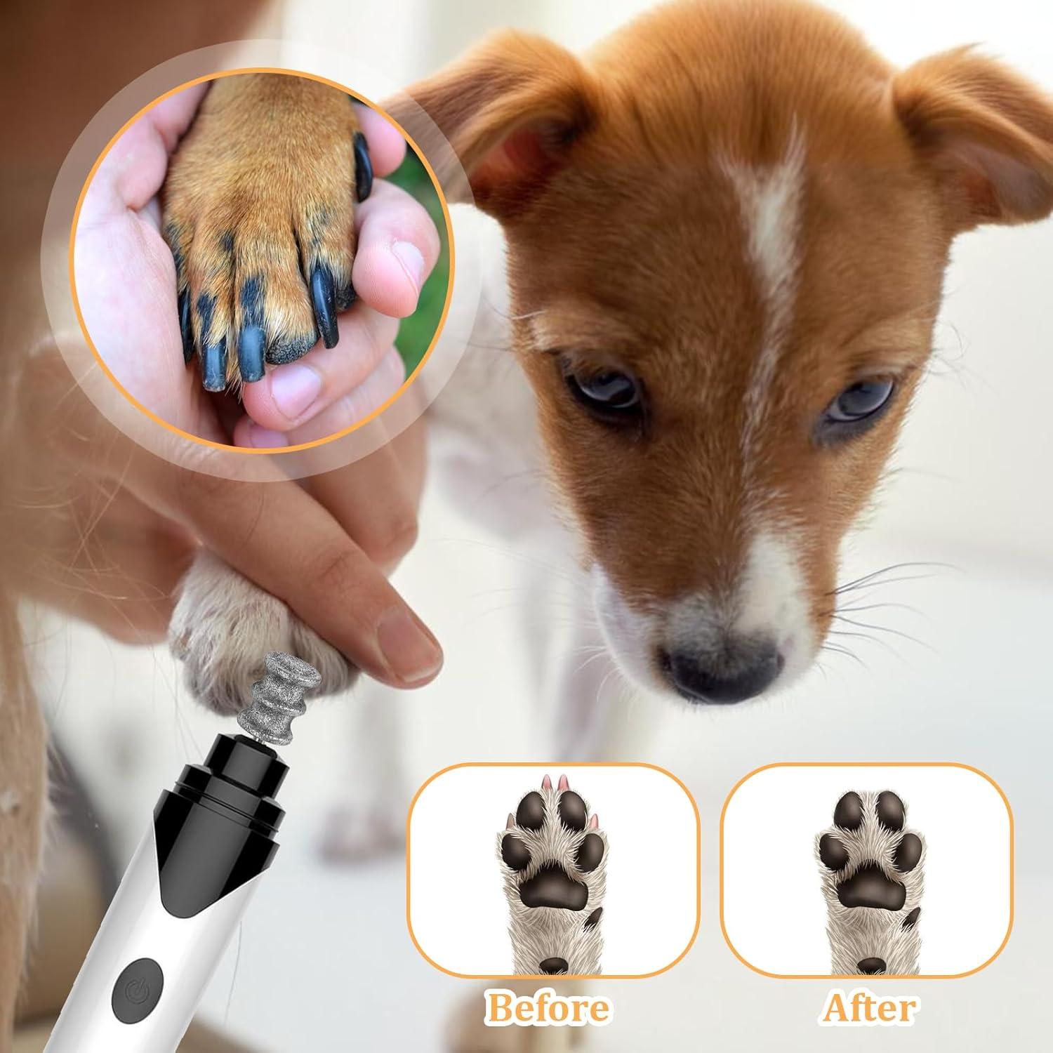 Puntas de Amoladora de Uñas Rotativa Ptwola para Perros Grandes