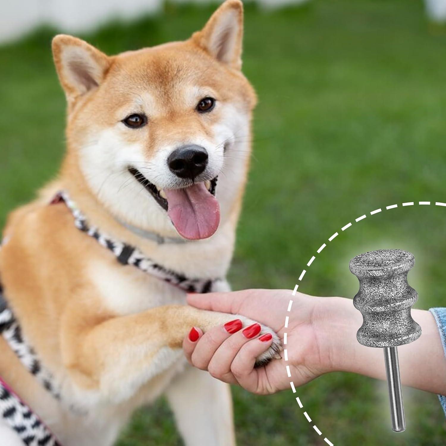 Puntas de Amoladora de Uñas Rotativa Ptwola para Perros Grandes