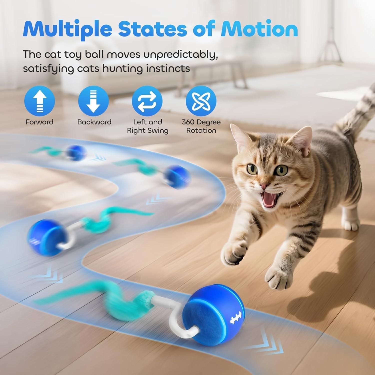 Bola de Juguete Interactiva para Gatos DDXCOO, Recargable USB