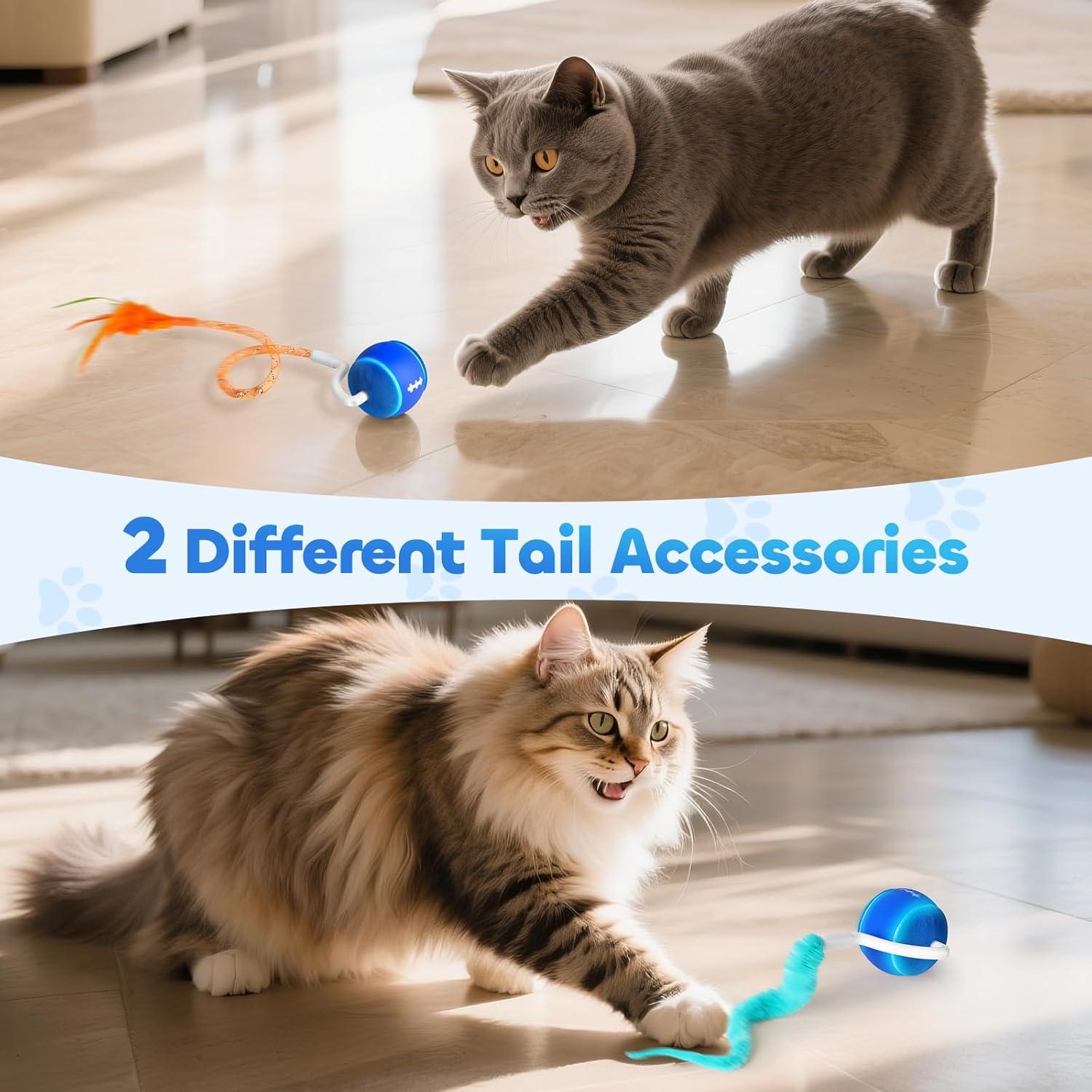 Bola de Juguete Interactiva para Gatos DDXCOO, Recargable USB