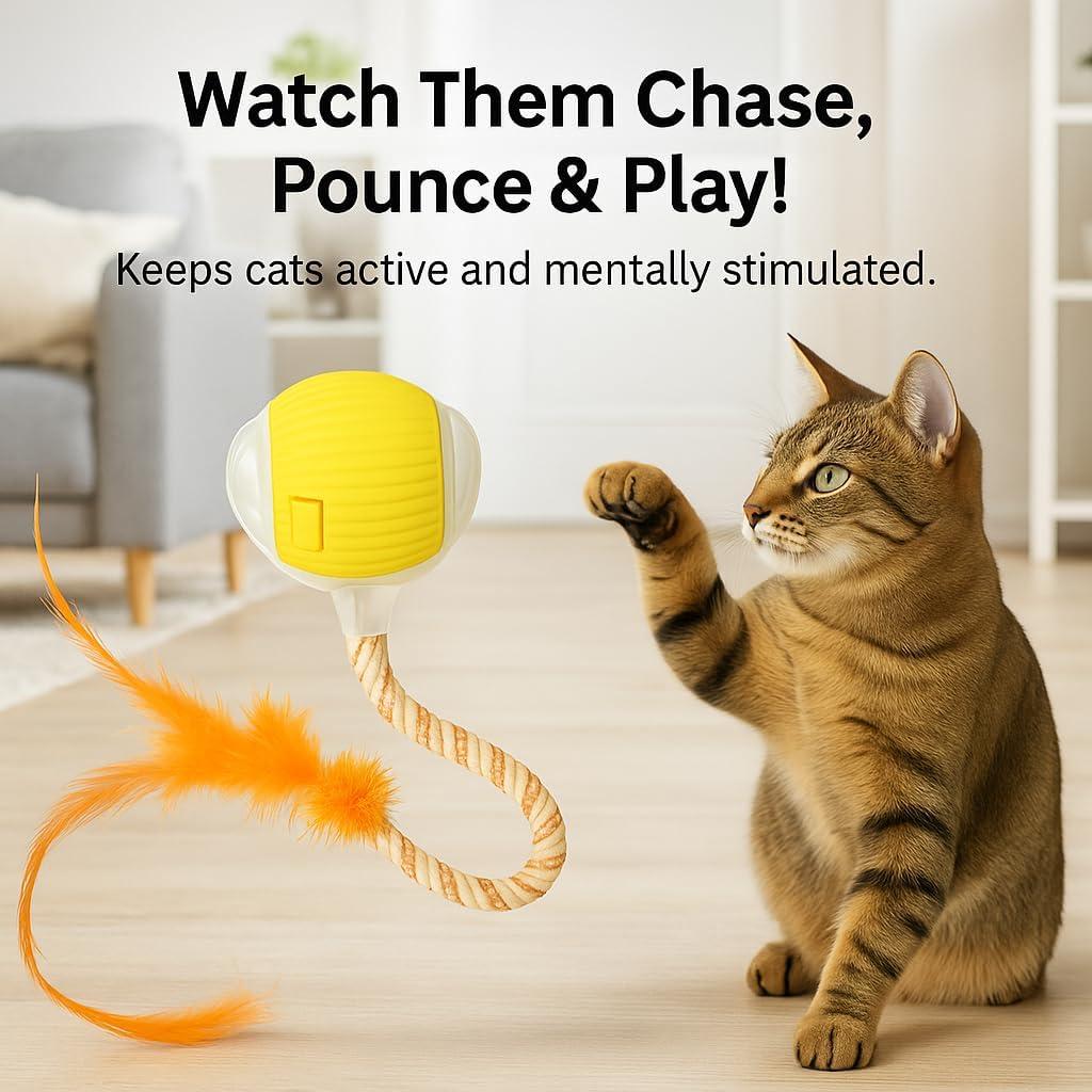 Bola de Juguete Automática para Gatos CKFPS - Recargable USB