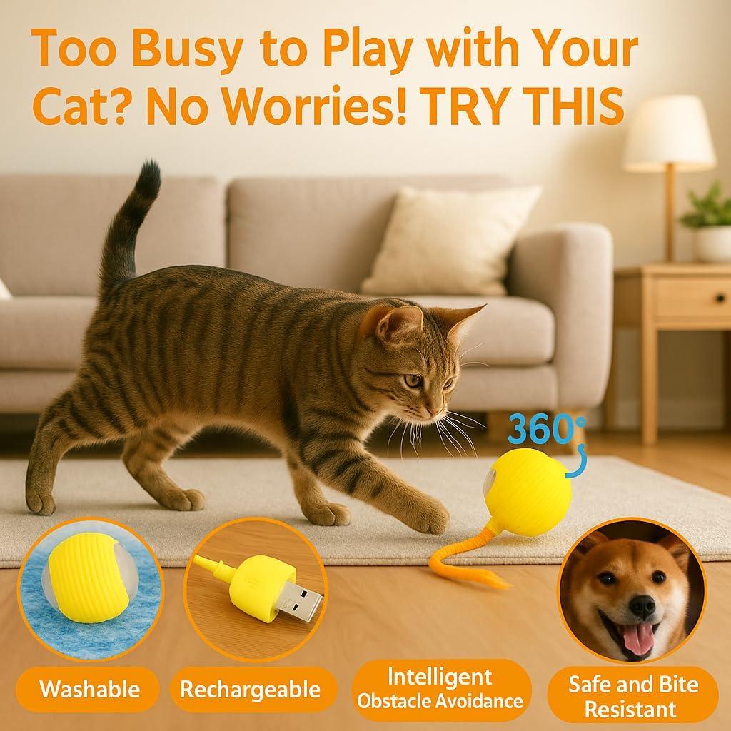 Bola de Juguete Automática para Gatos CKFPS - Recargable USB