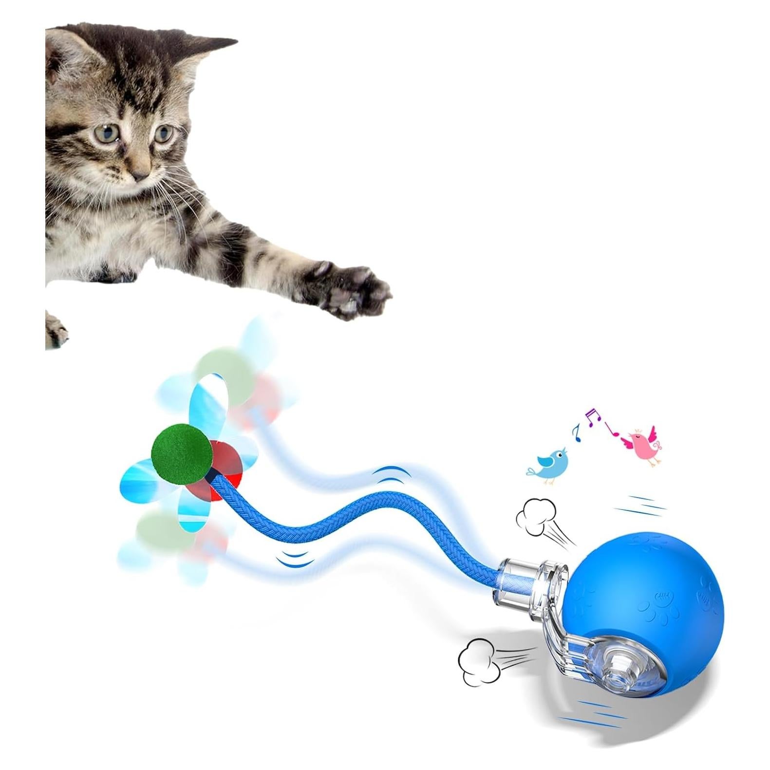 Juguete Interactivo para Gatos Morhandisn O11 Azul Recargable