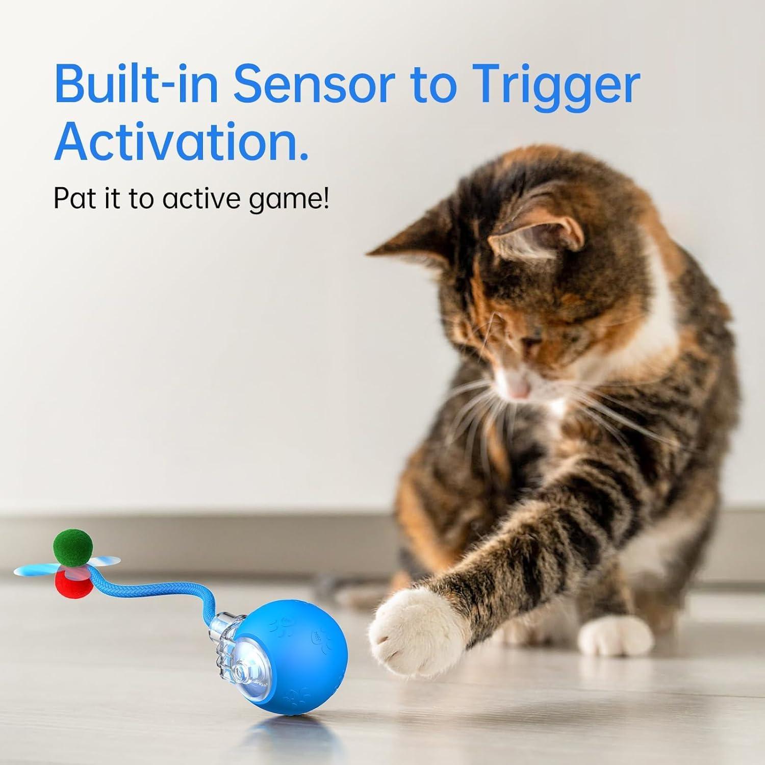 Juguete Interactivo para Gatos Morhandisn O11 Azul Recargable