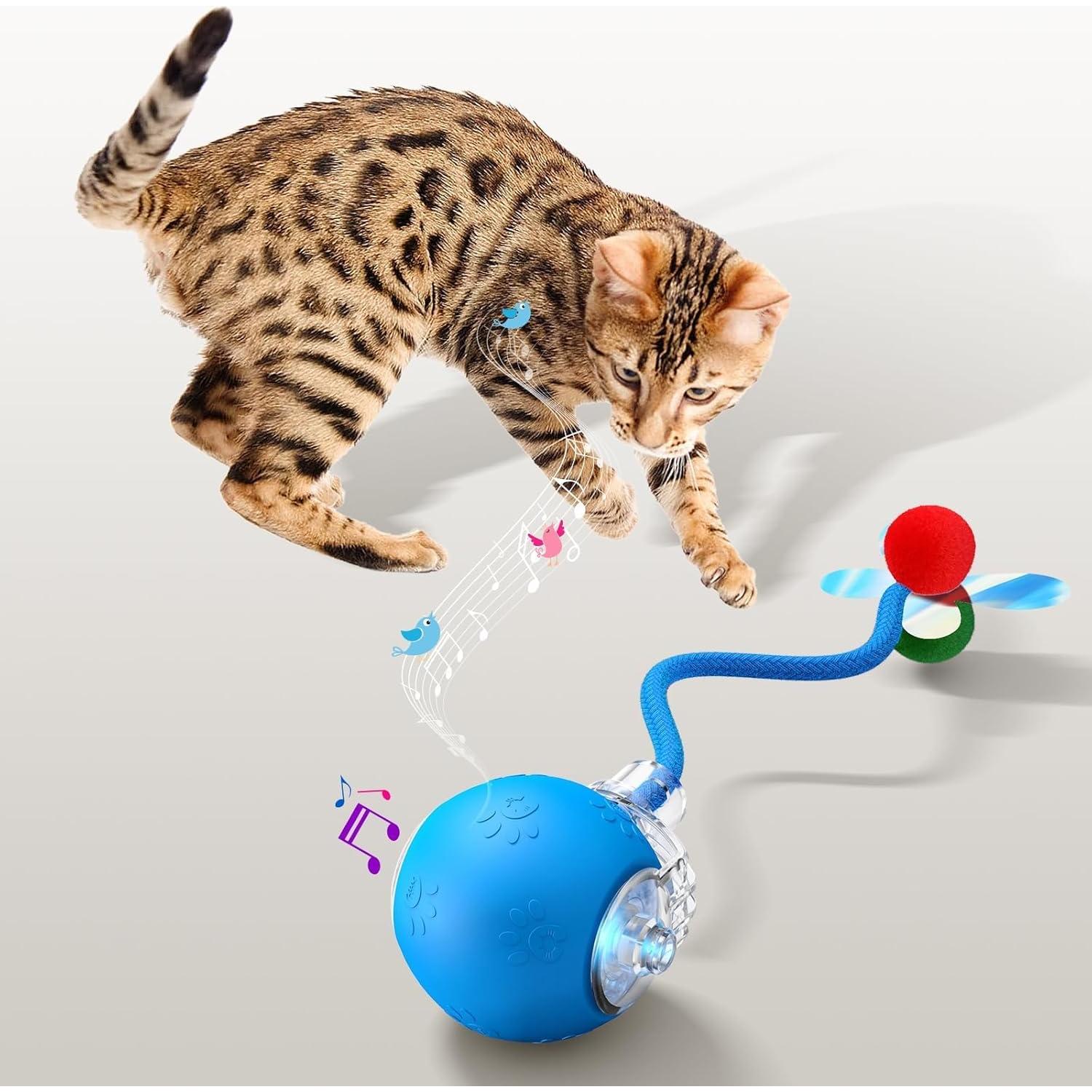 Juguete Interactivo para Gatos Morhandisn O11 Azul Recargable