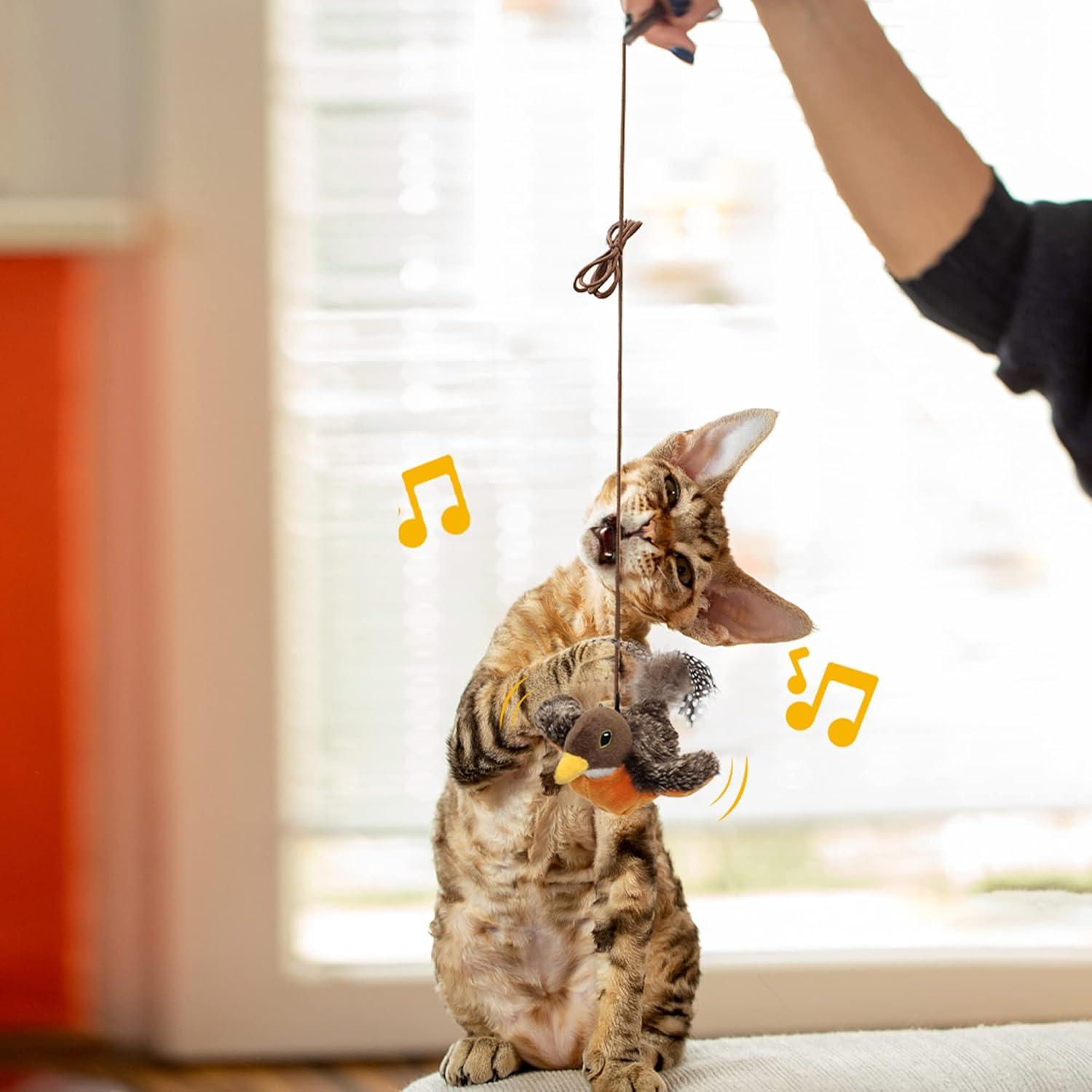 Juguete Interactivo para Gatos Petfuture Aleteador Robin USB