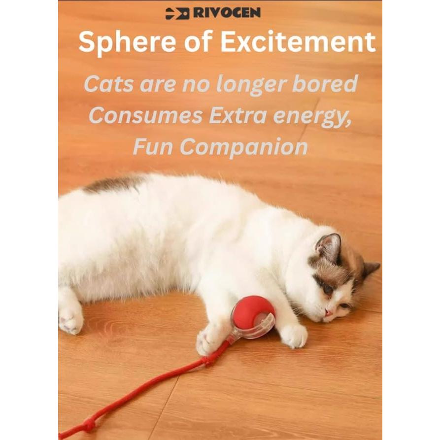 Juguete Interactivo para Gatos y Perros RivOcen Rojo 6.99cm