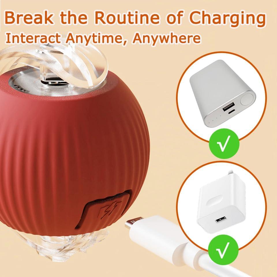 Juguetes Interactivos para Gatos Fuijeuj 2 Pcs Rojo y Azul