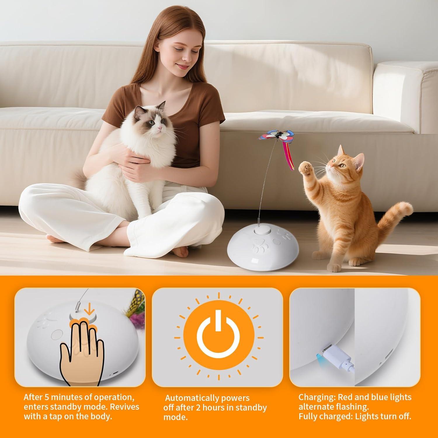 Juguete Interactivo para Gatos 3 en 1 Dongguan IN31