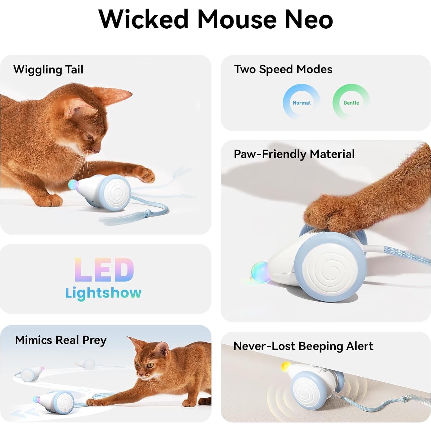 Juguete Interactivo para Gatos Cheerble CWJ03 Azul