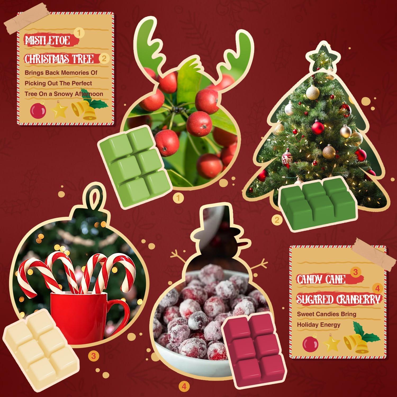 Set de Ceras Aromáticas de Soja Salubrito - Navidad 8 Aromas