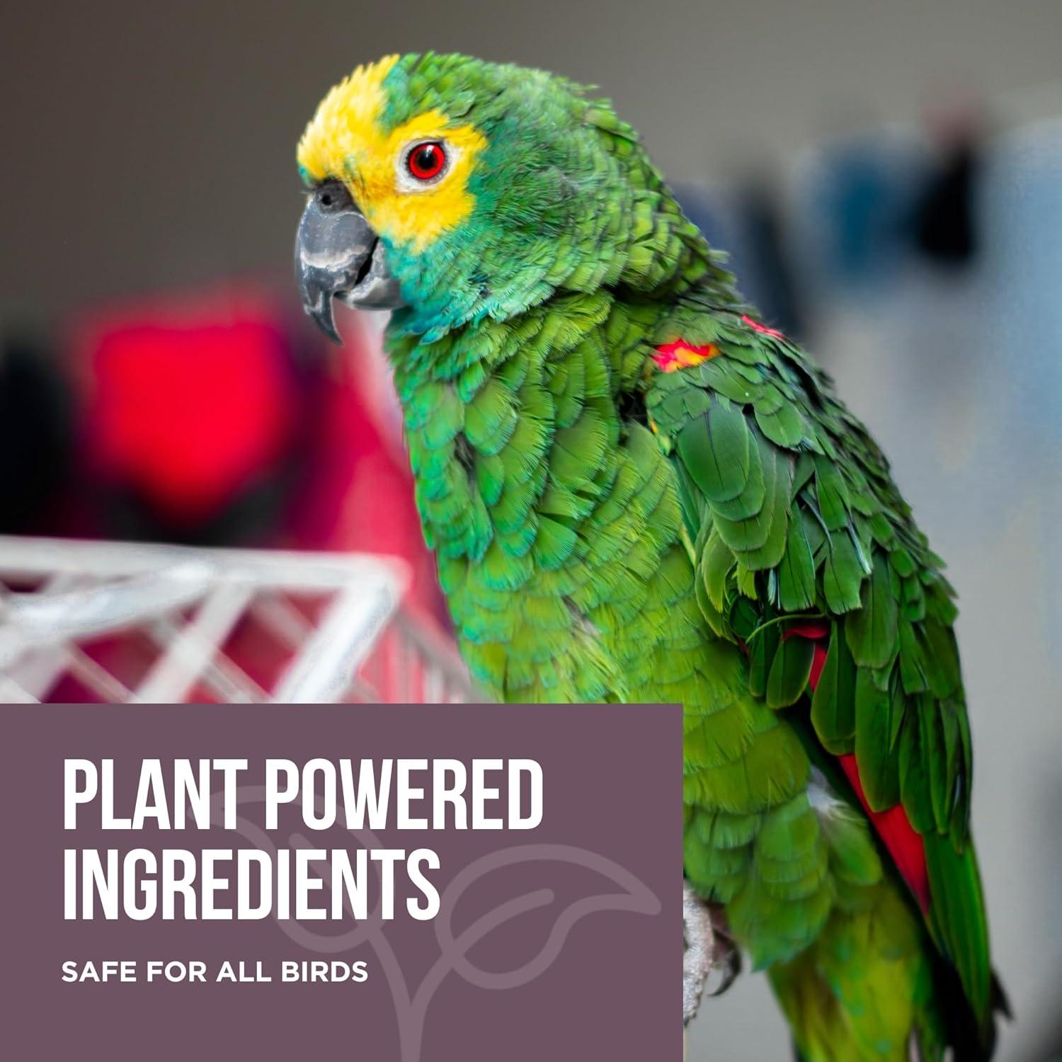 Limpiador Natural para Jaulas de Aves Rapport 946 ml - Efectivo y Seguro