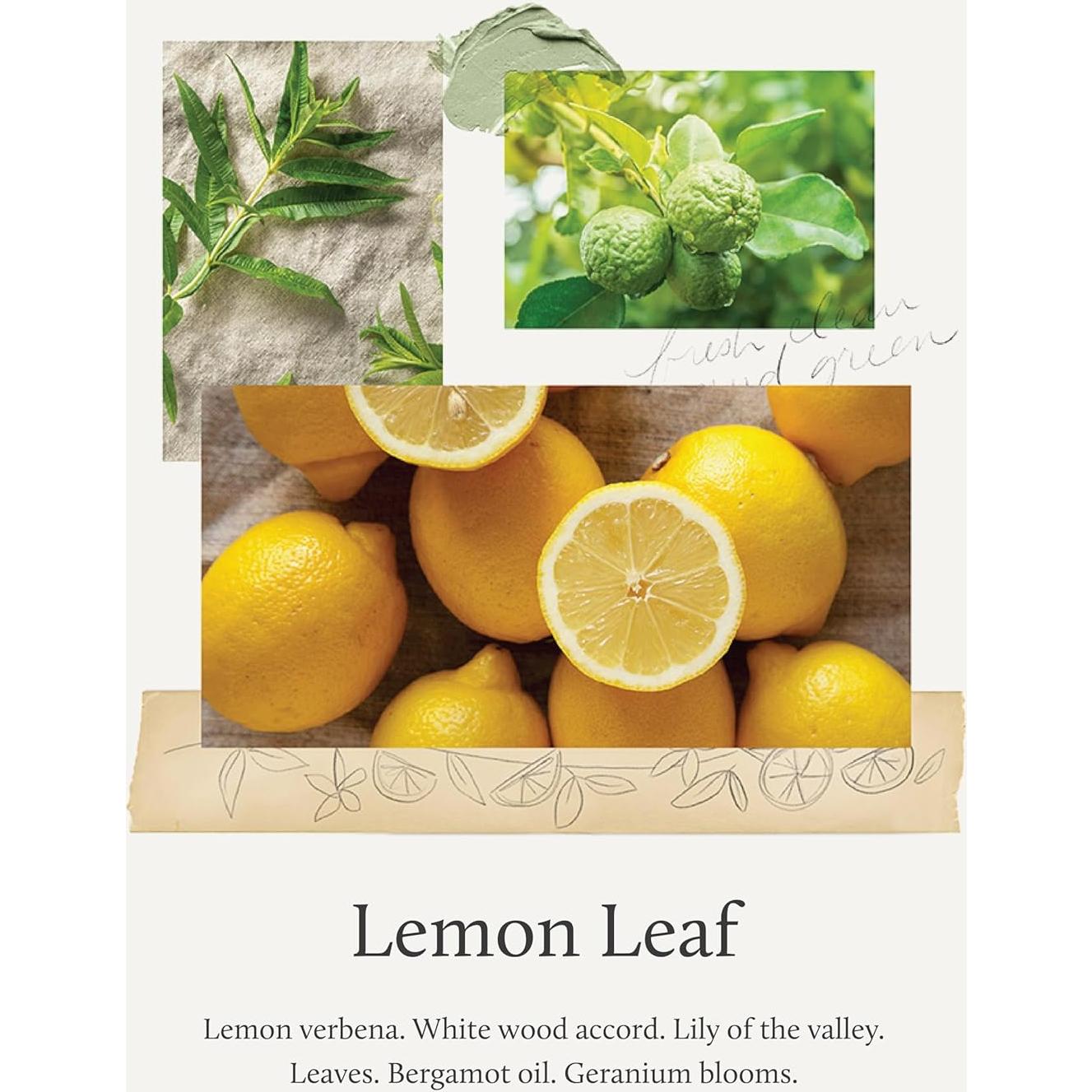 Spray Limpiador de Encimera Thymes Hoja de Limón 489 ml