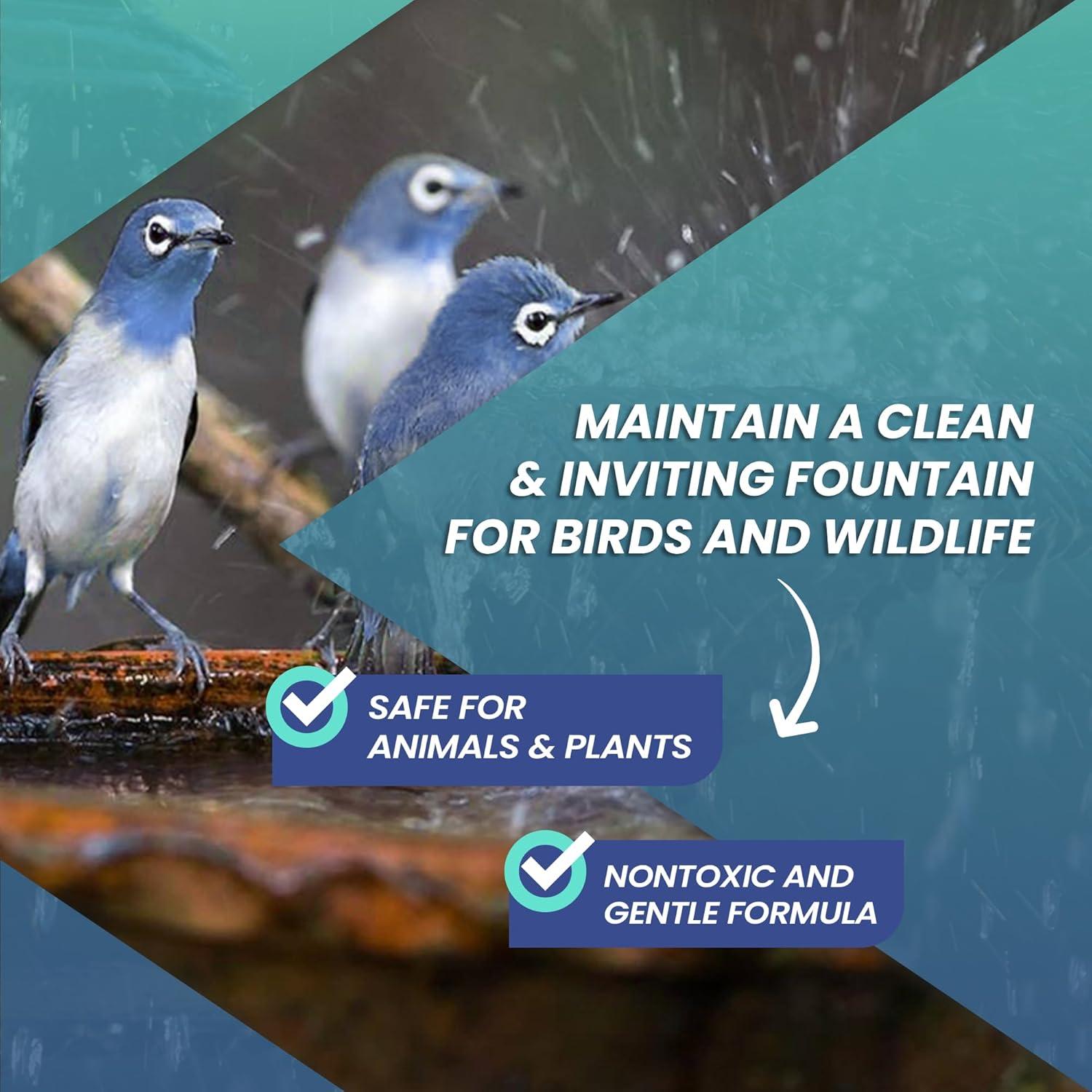 Limpiador de Fuente de Agua Not Rocket Sciences 500ml - Ecológico