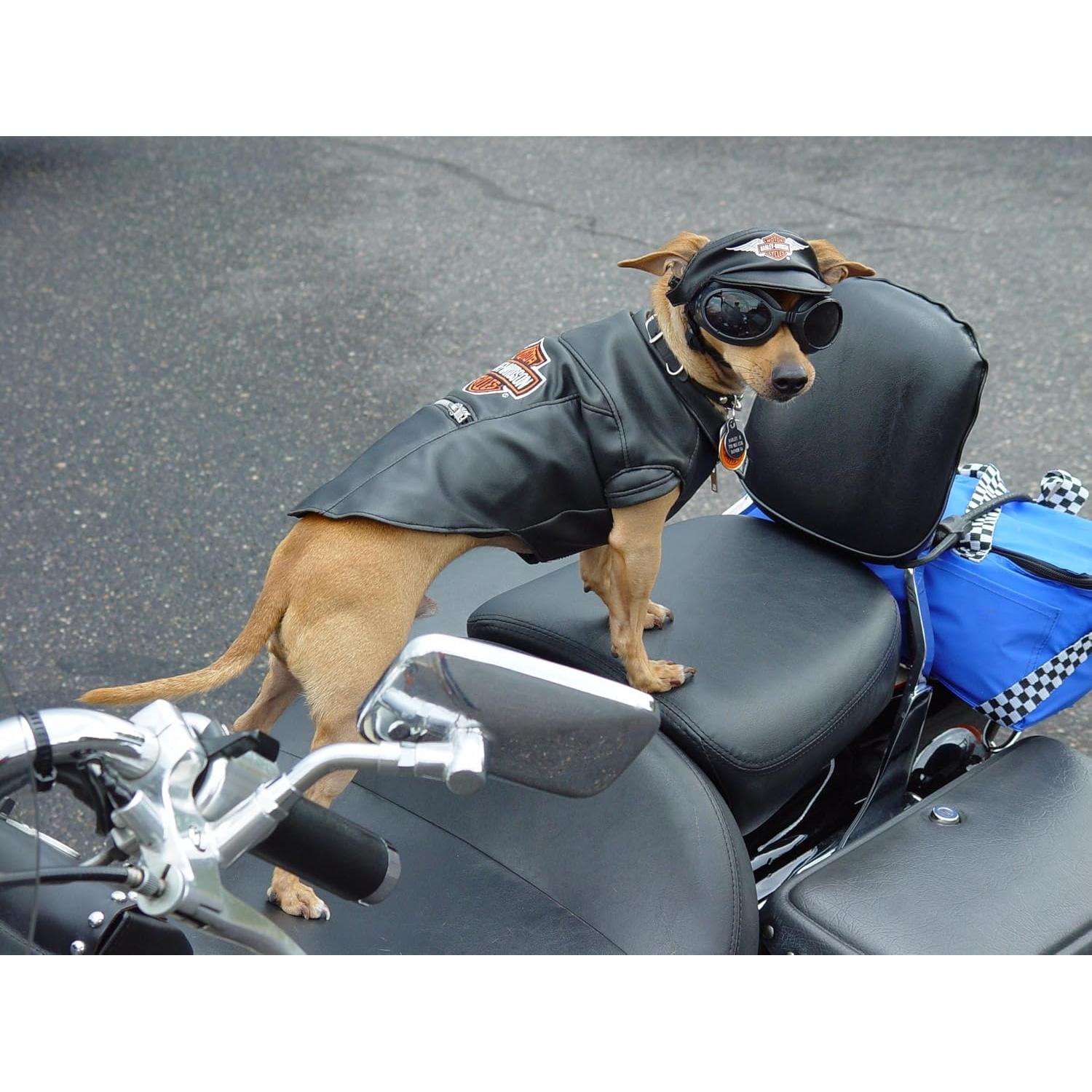 Crema Limpiadora y Acondicionadora de Cuero Skidmore 170g