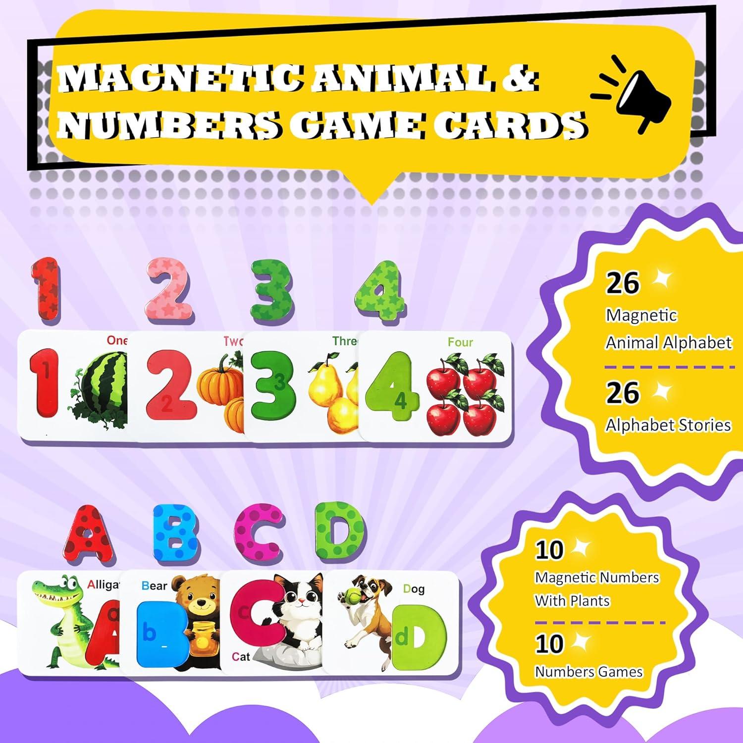 Tarjetas de Flash Magnéticas ABC ZhenYi - Juguetes Educativos 3+ Años