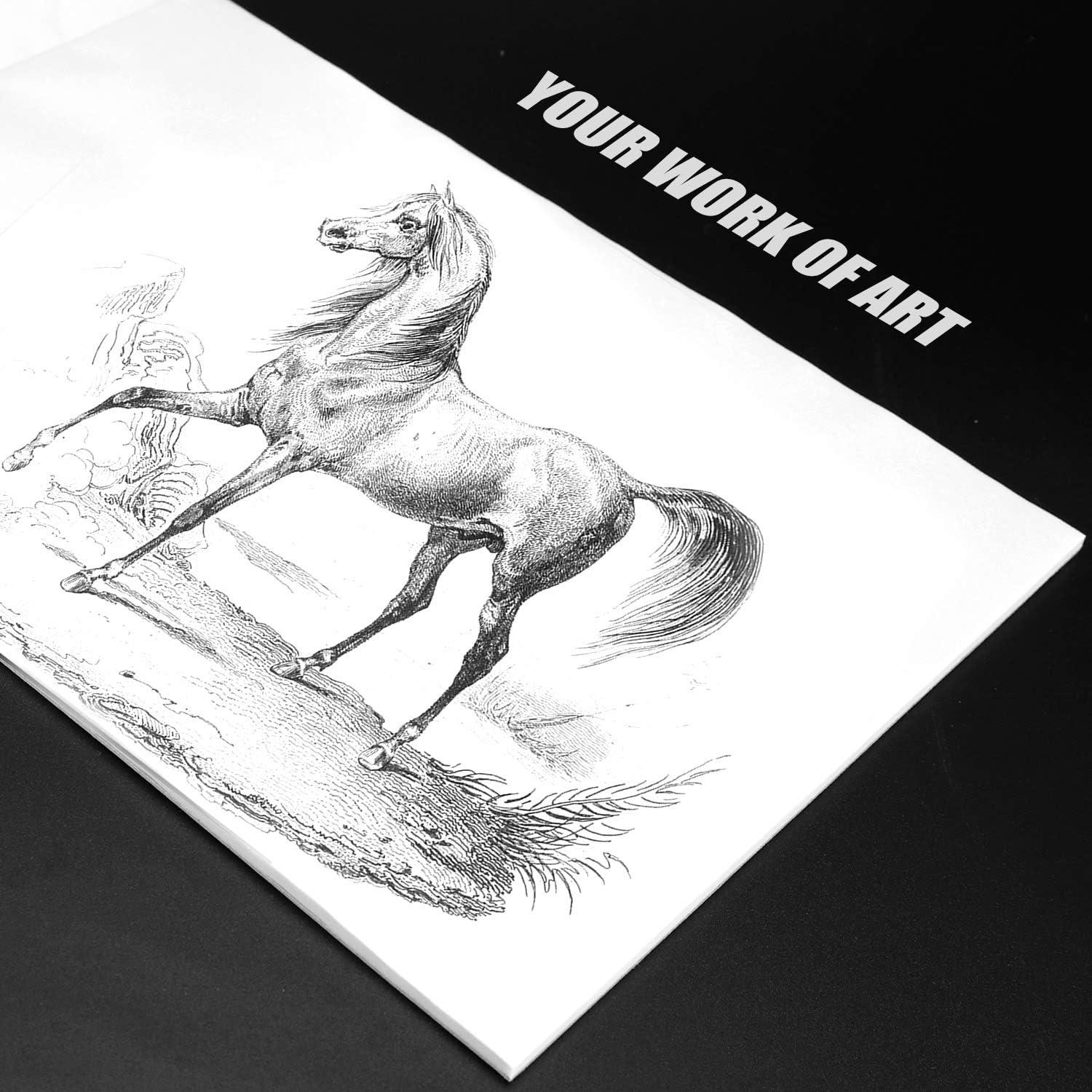 Bloc de papel de calco Bachmore 22.86x30.48 cm, 75 hojas