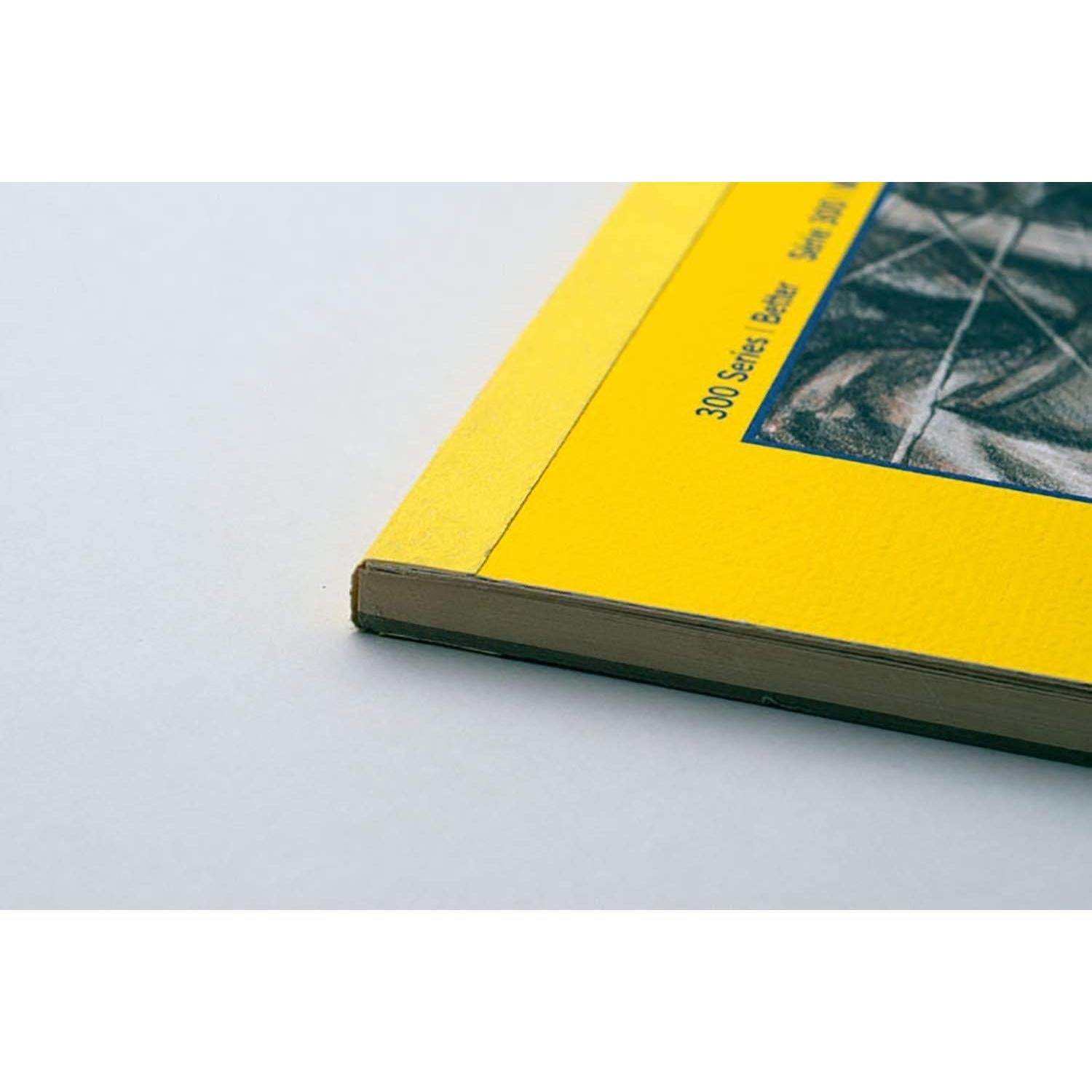 Bloc de Papel de Calco Strathmore 300 Series 50 Hojas 22.86x30.48 cm