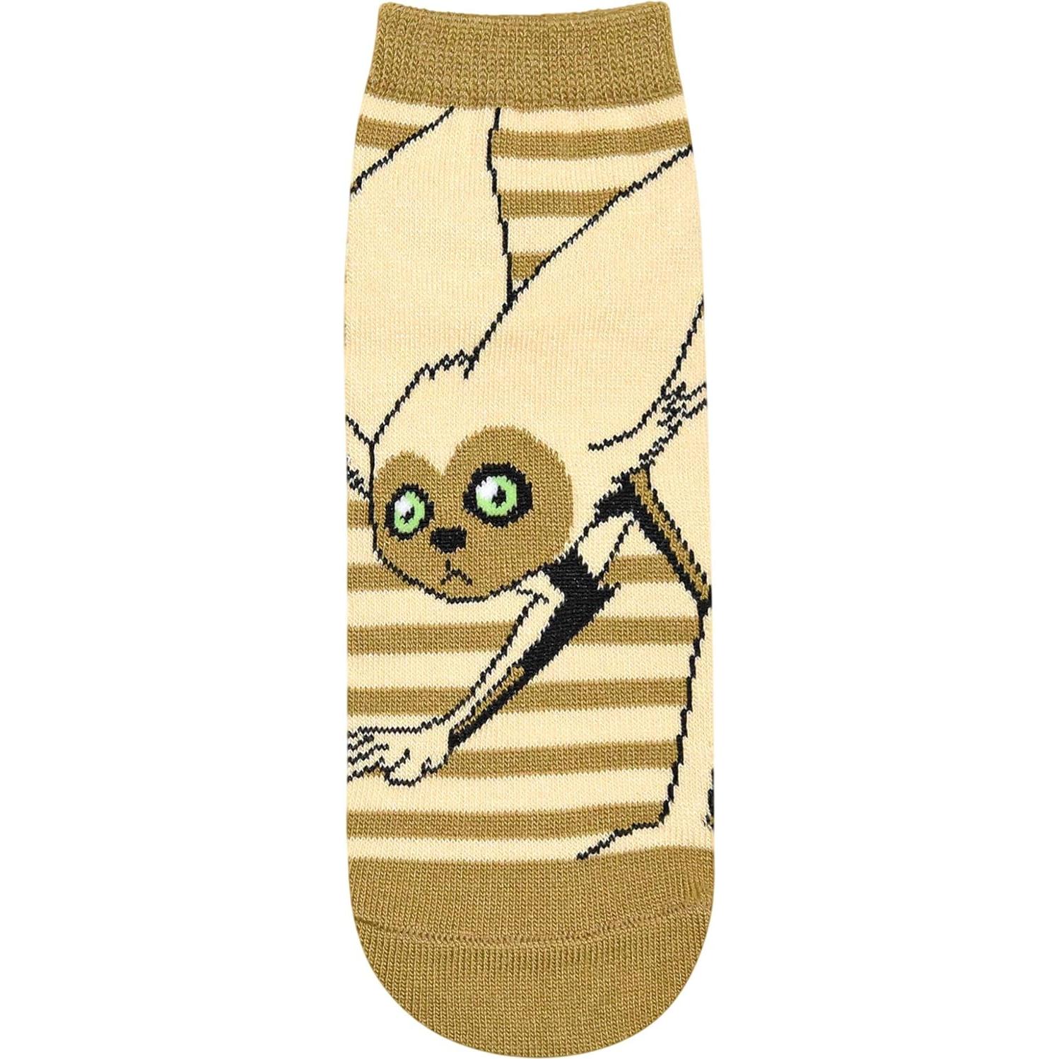 Calcetines Cortos Avatar Aang Appa 5 Pares Jóvenes/Mujeres