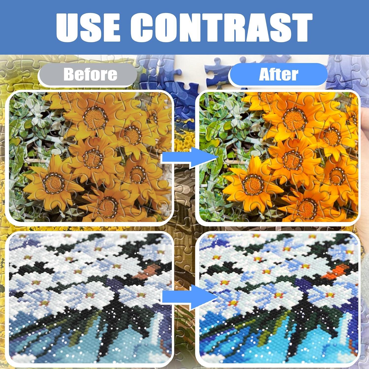 Pegamento para Rompecabezas OOTDART 250ml Transparente Brillante