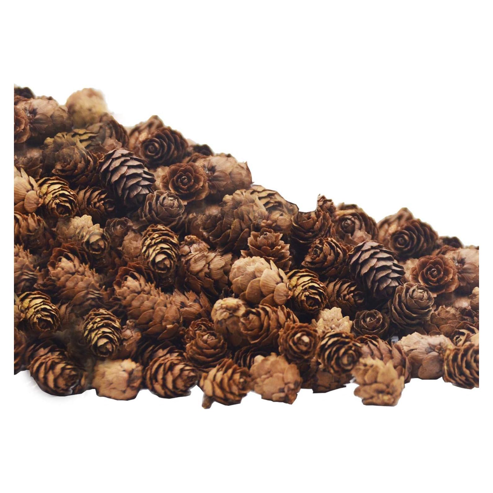 Deloky 150 Pcs Piñas Naturales Mini 2CM para Decoración