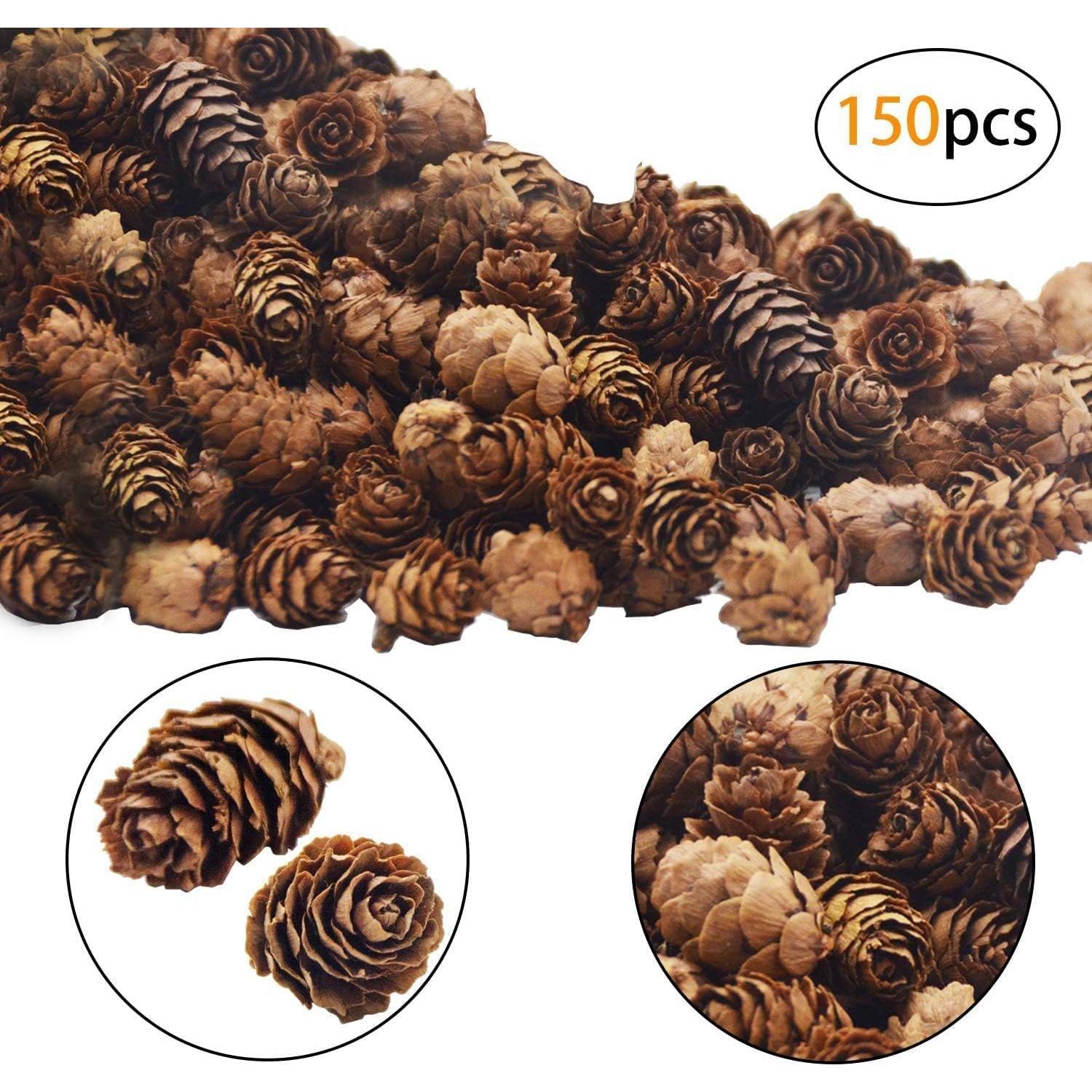 Deloky 150 Pcs Piñas Naturales Mini 2CM para Decoración