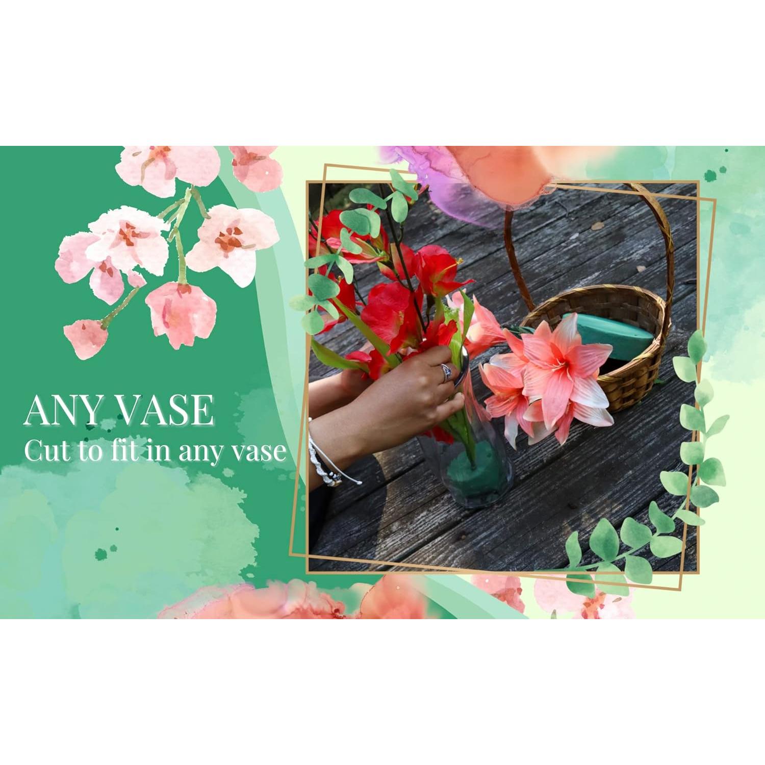 Paquete de 6 Bloques de Espuma Floral Redonda Flofare 7.6 cm