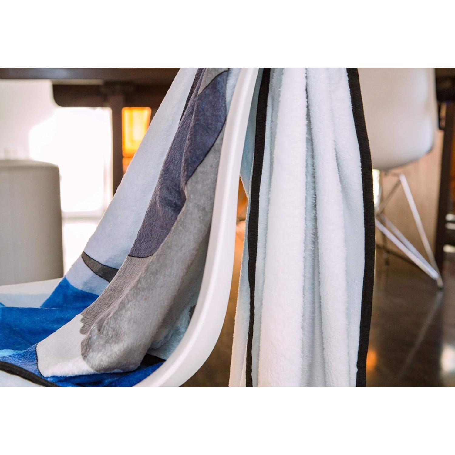 Manta de Peluche Aang y Appa Surreal Entertainment 114x152 cm