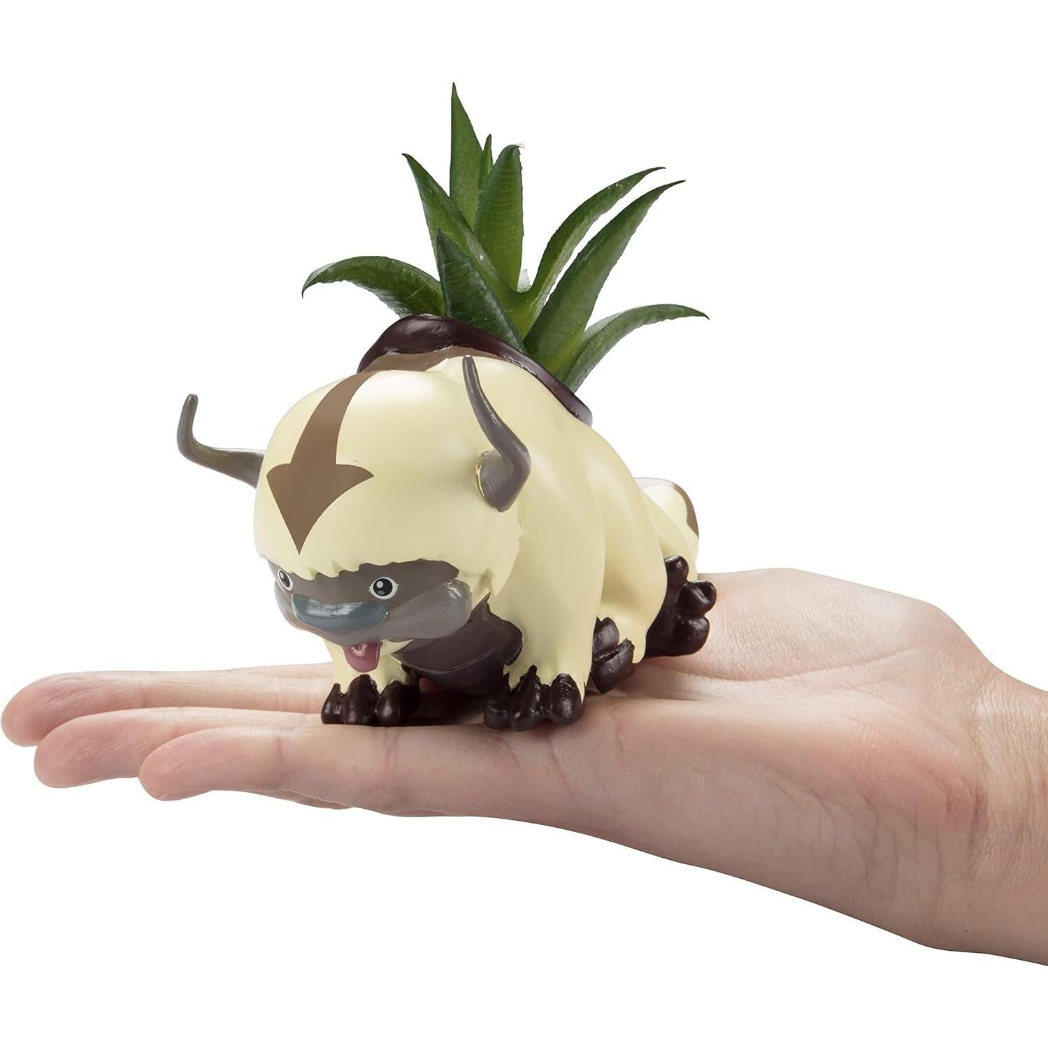 Maceta Appa Bisonte Volador SCS Direct con Suculenta Falsa