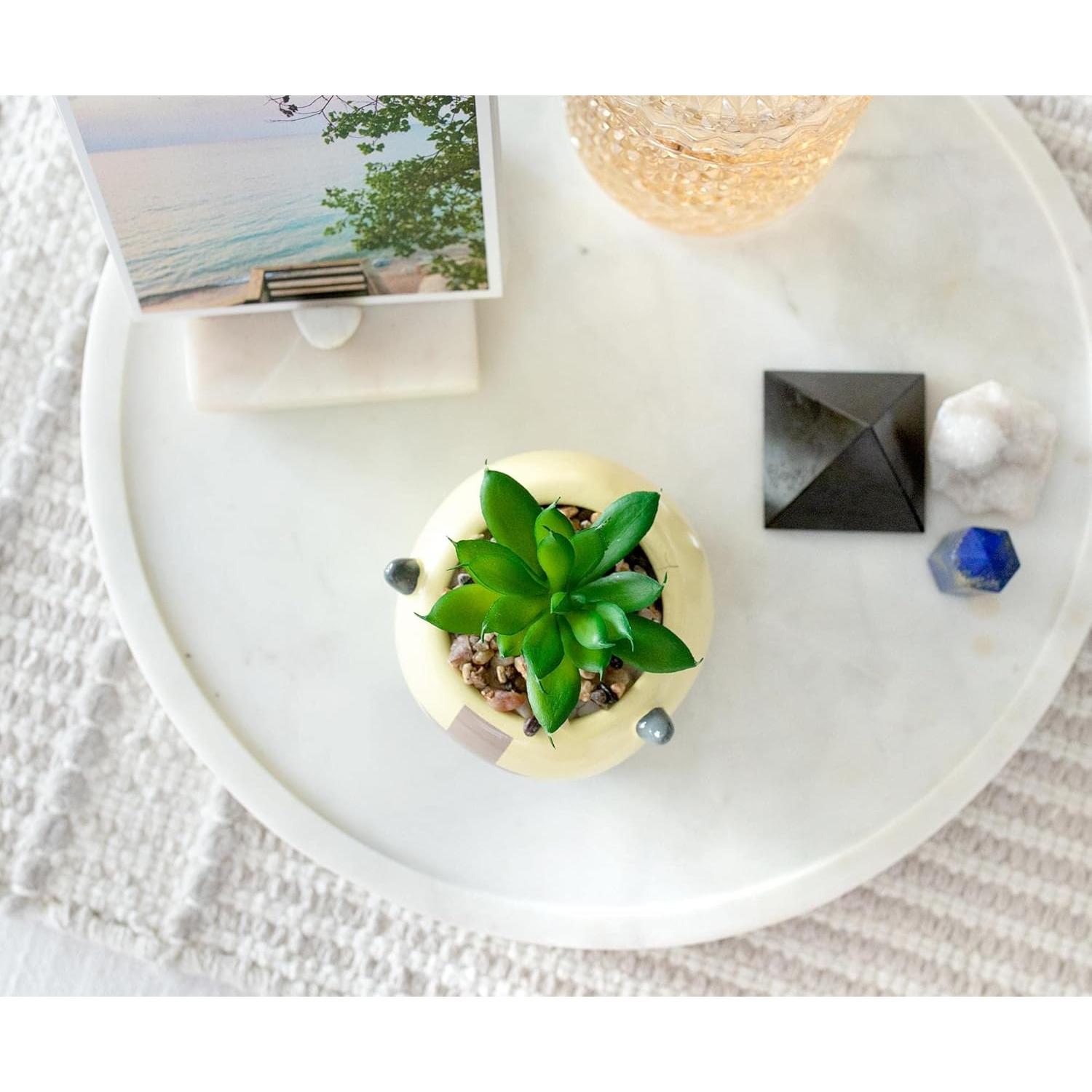 Maceta de Cerámica Appa 15.24 cm con Suculenta Artificial Silver Buffalo