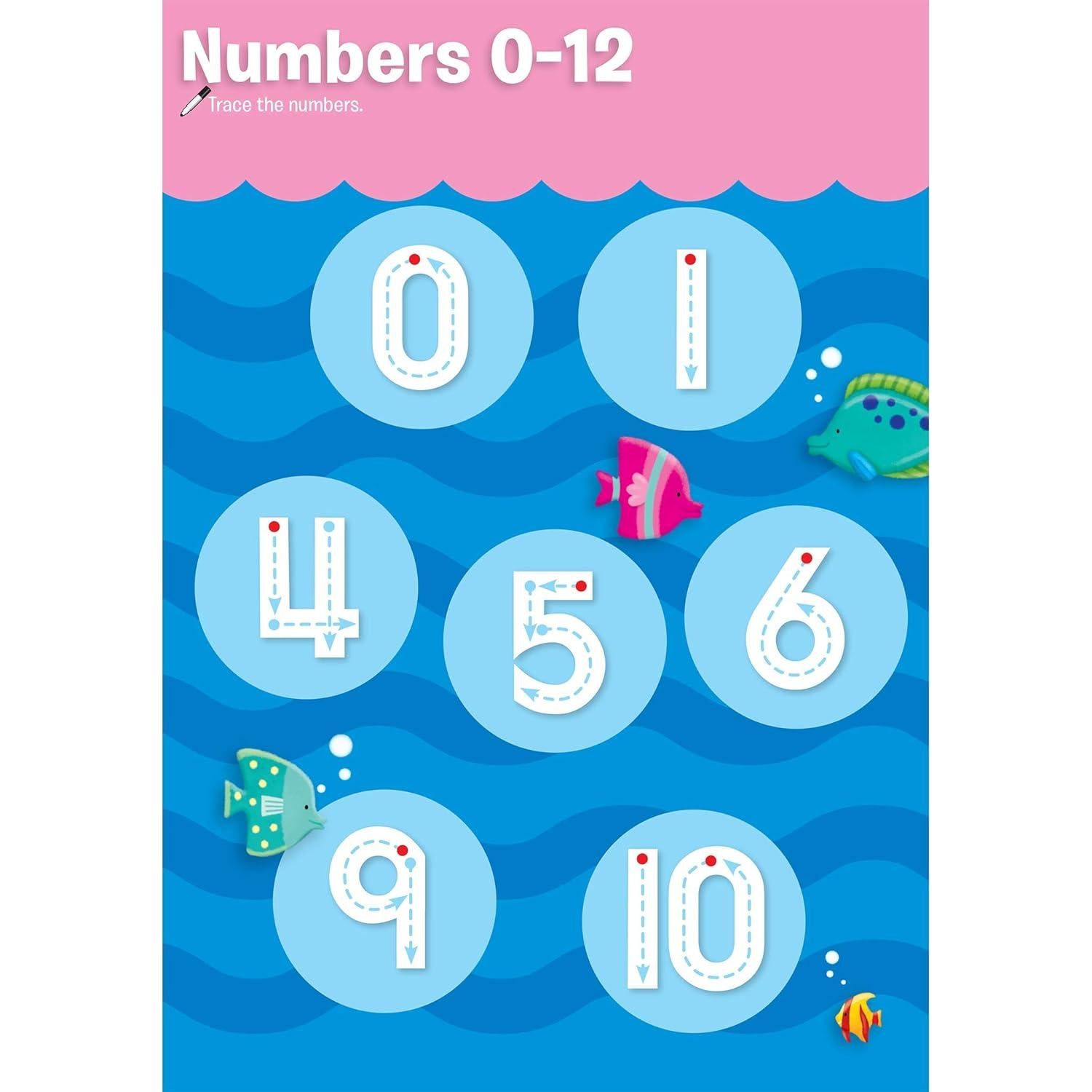 School Zone - Preschool Fold-Out Fun! Write & Reuse Workbook - 240 Pages, Ages 3 to 5, Wipe-Clean Activities, Tracing Letters & Numbers, Colors, Shapes, Counting, Early Math, Stickers, and More