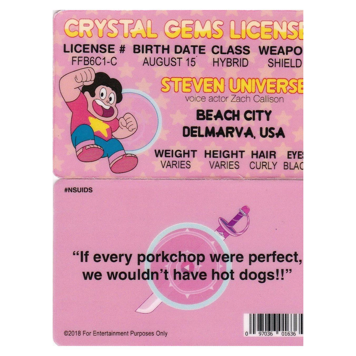 Tarjeta de Identidad Falsa Signs 4 Fun - Steven Universe