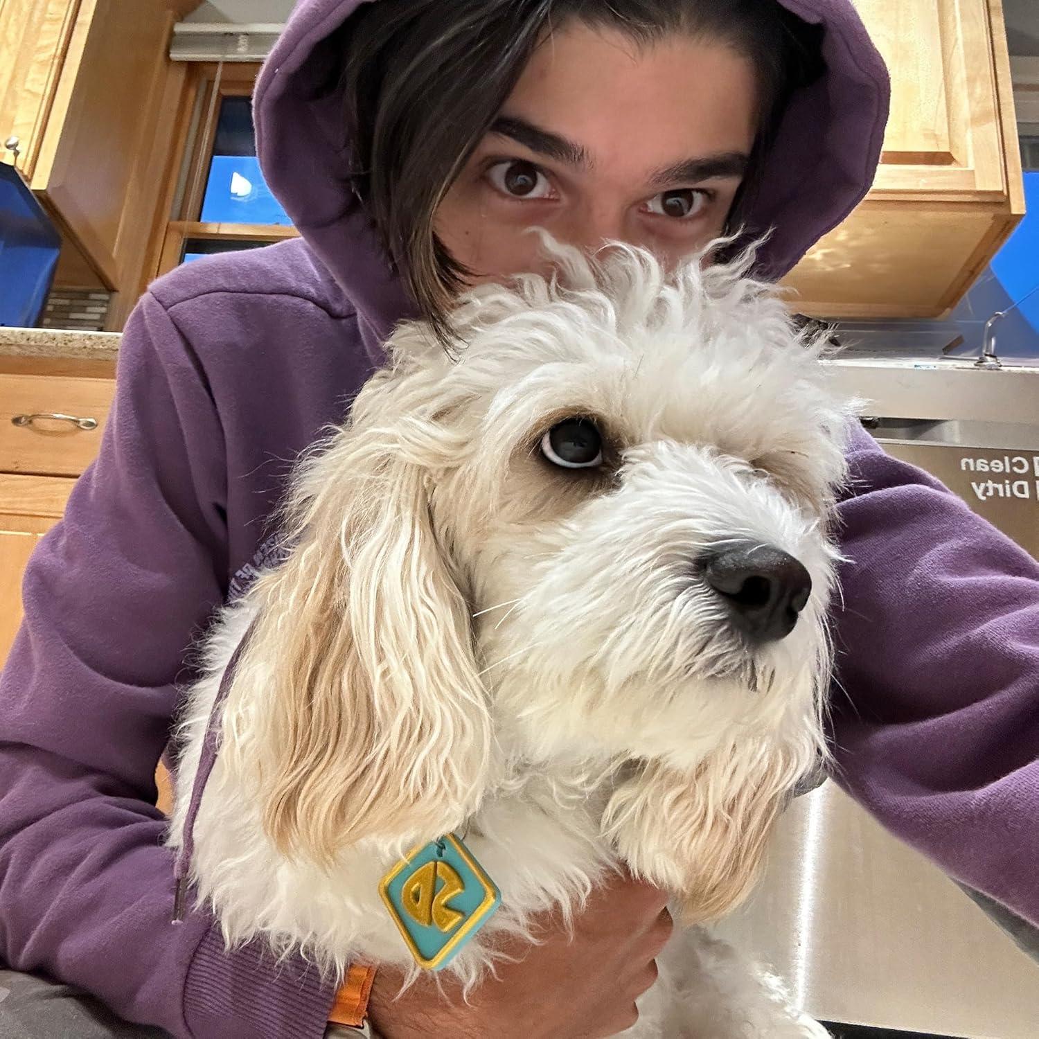 Etiqueta de Collar de Perro Scooby-Doo 4.57cm - CTWPets